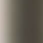Vibrant Brushed Nickel