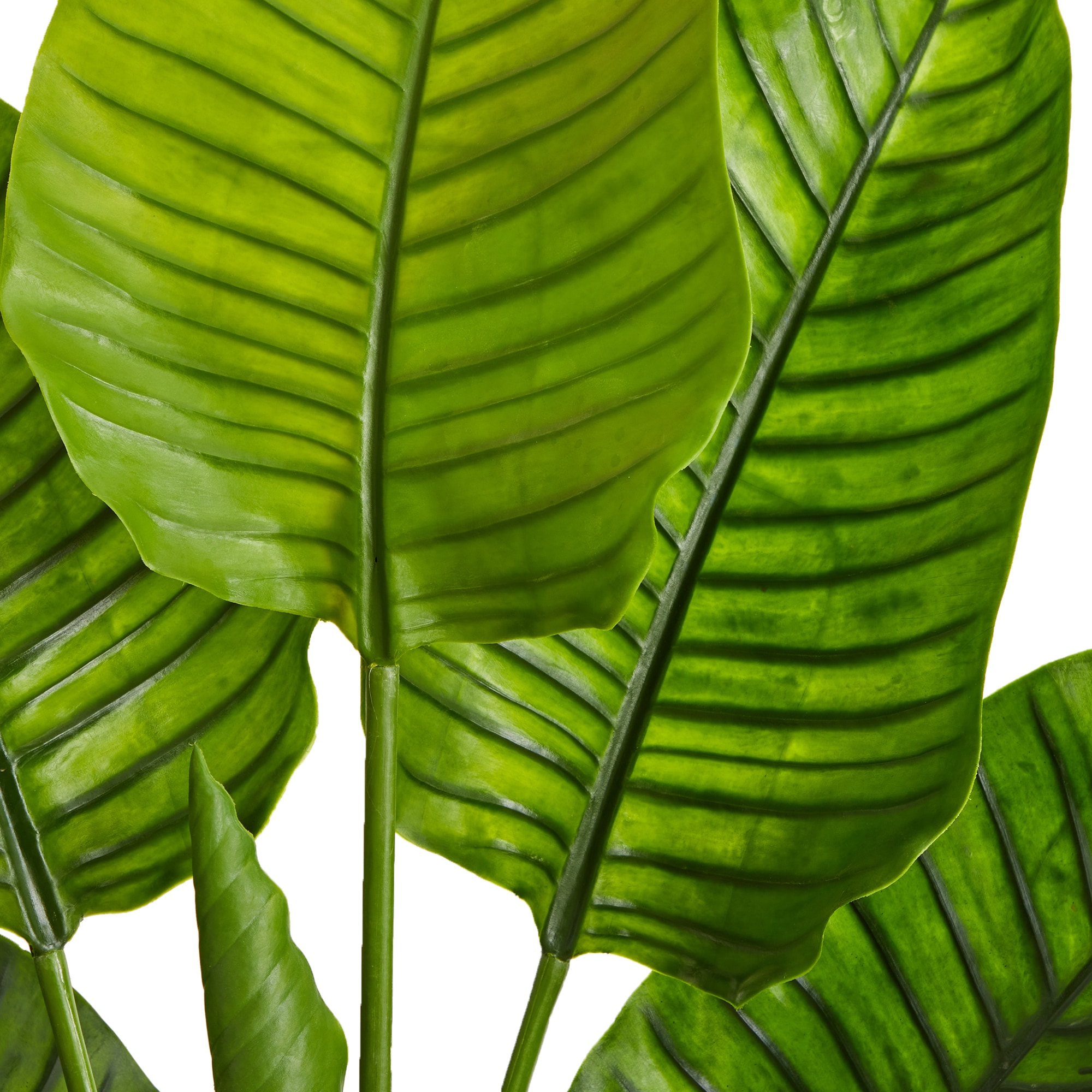 Nearly Natural 5445 Artificial-Plants-Trees - View #7