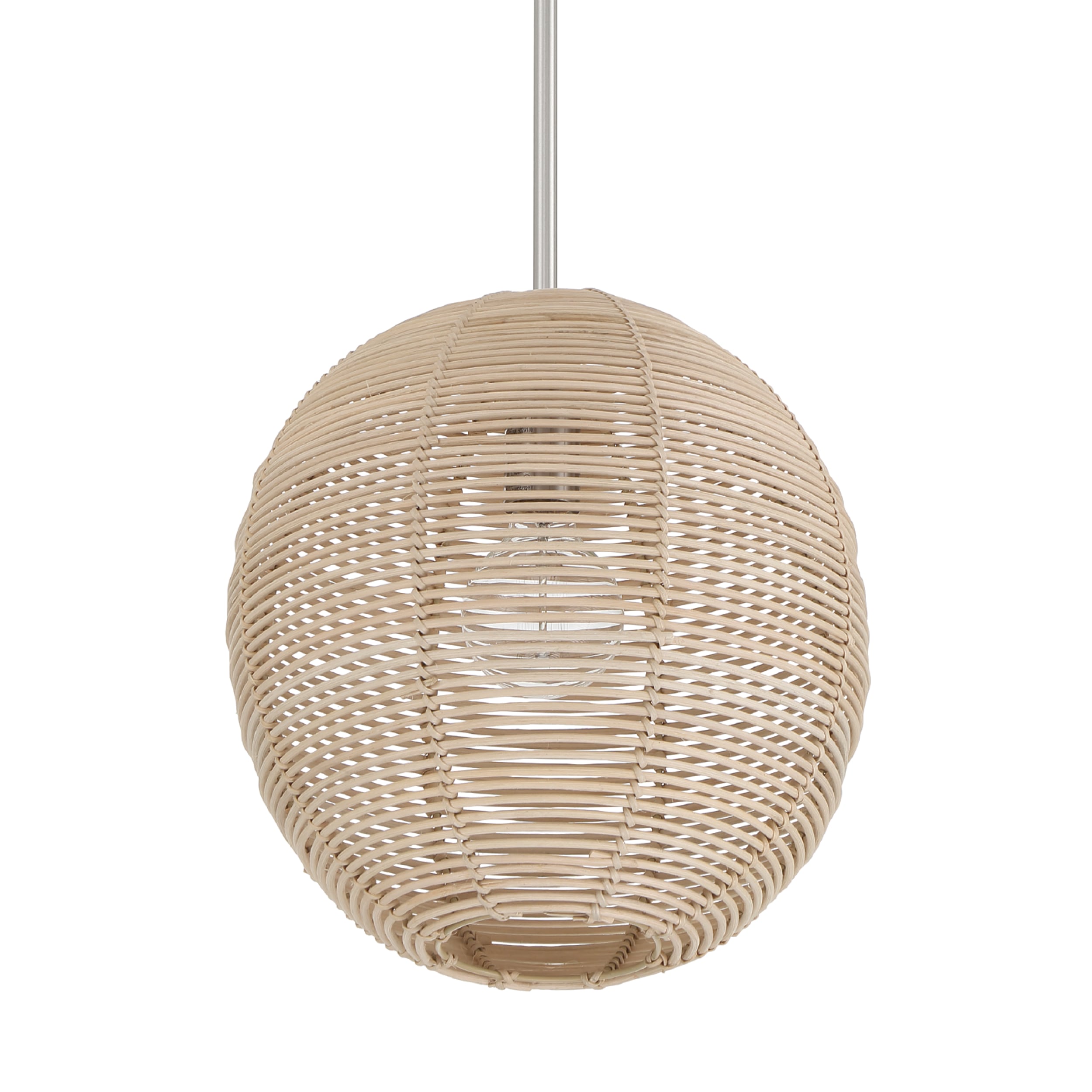 Hunter 48086 Berkeley 1 -Light Brushed Nickel Transitional Globe Medium Hanging Pendant light