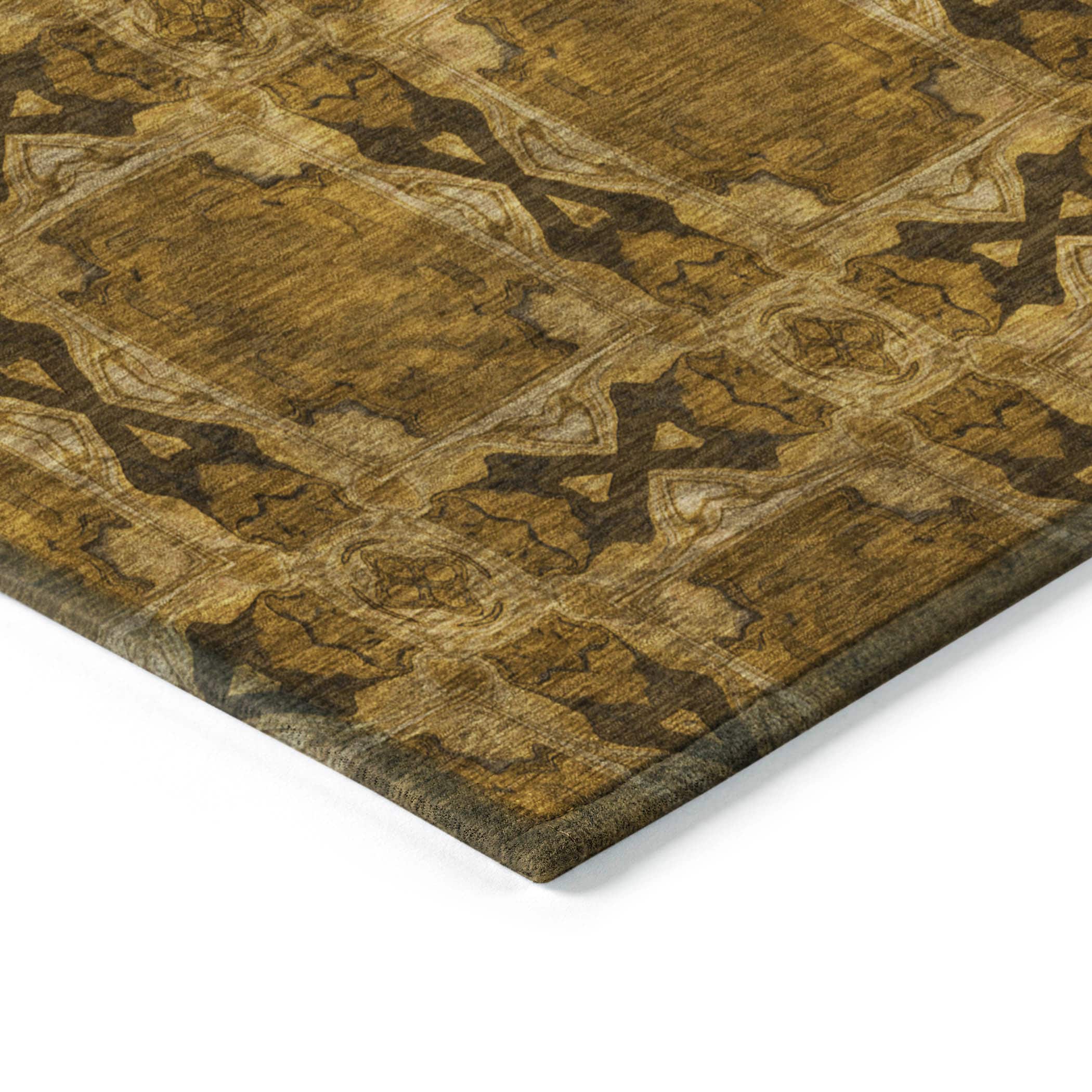 Addison Rugs ACN564CH30X46 rugs - View #4