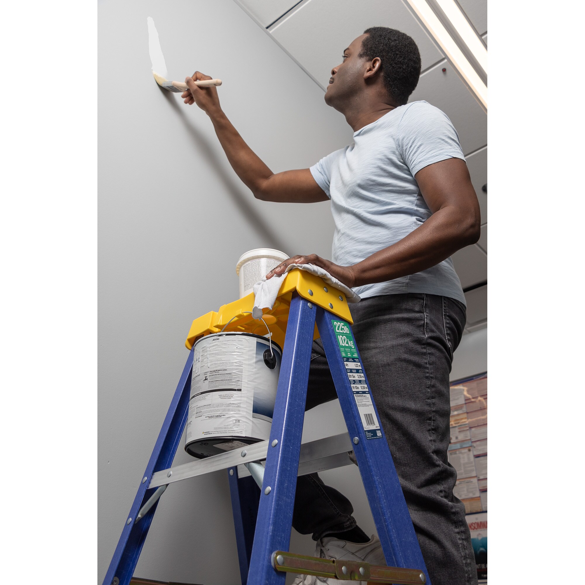Werner FS204X9216 Step-Ladders - View #5