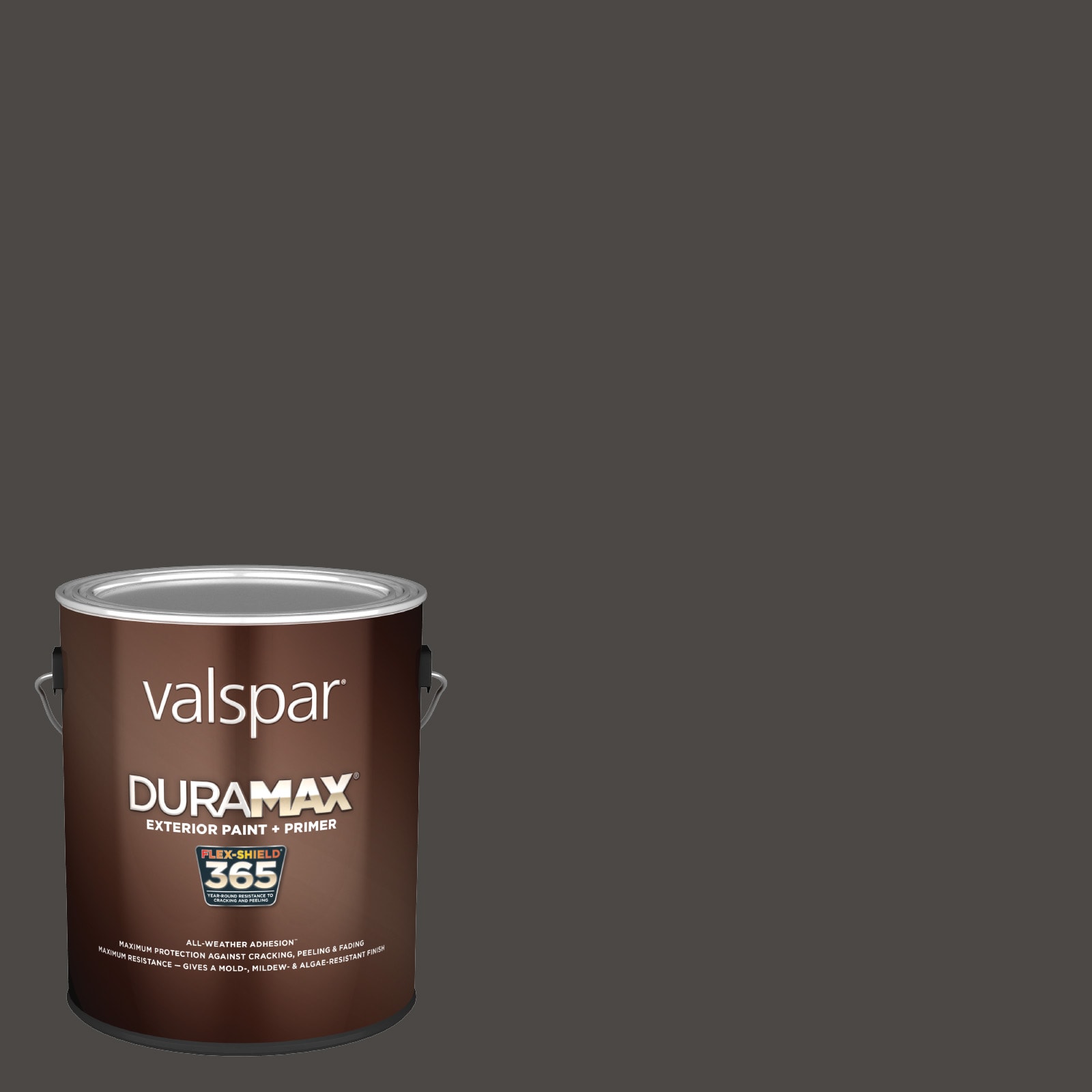Valspar Interior Paint Color Flakes (Actual Net Contents: 1-fl oz) in the  Paint Additives department at