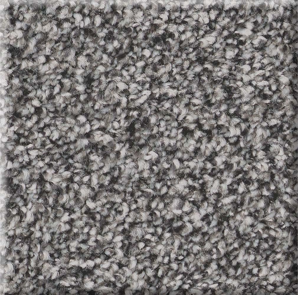 STAINMASTER 7L856 - 520 - SAMP (Sample) Welcome Retreat II Charcoal Luster Gray 53.6-oz sq yard Polyester Textured Indoor Carpet