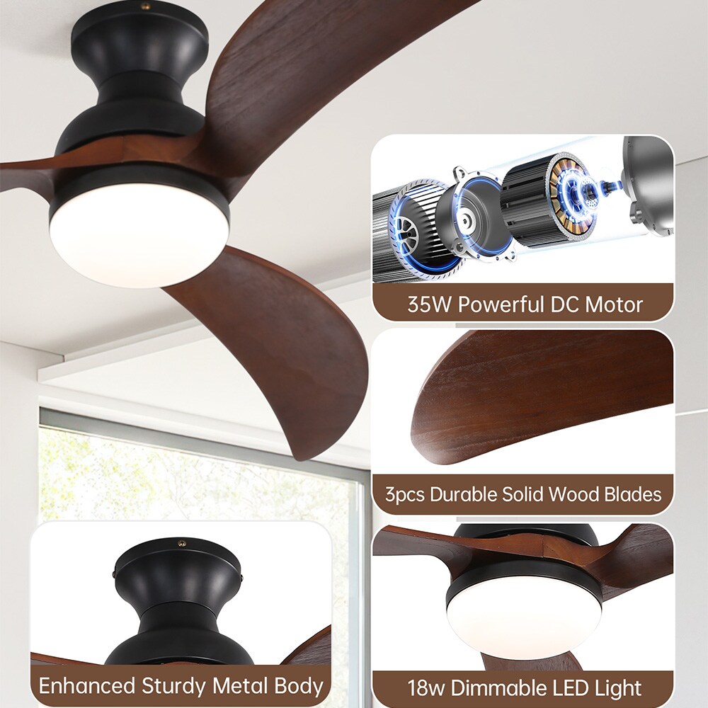 Sofucor LW-52K034SMTY-BK Ceiling-Fans - View #5