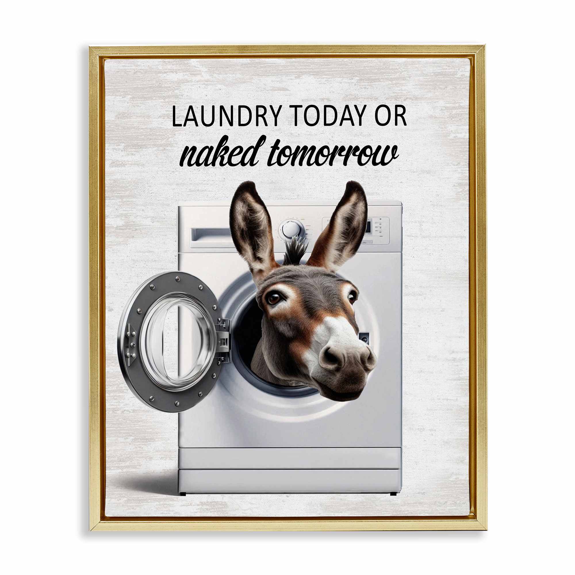 Stupell Industries BS-915-FFG-24X30 Funny Donkey Washing Machine Gold Framed Floater Canvas Wall Art By Lettered and Lined 25 x 31