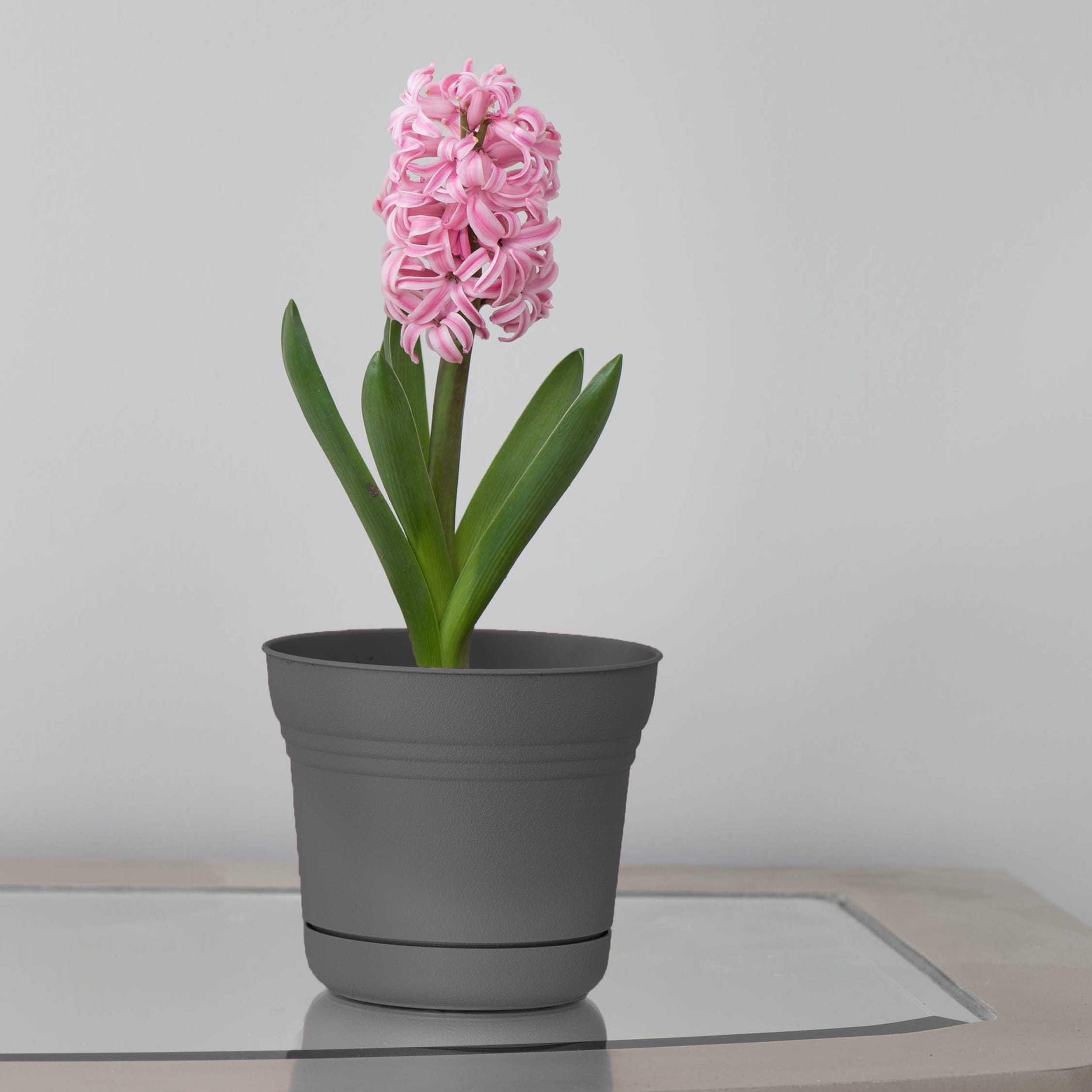 Bloem DCB-SATMIX21 Planter-Window-Box - View #2