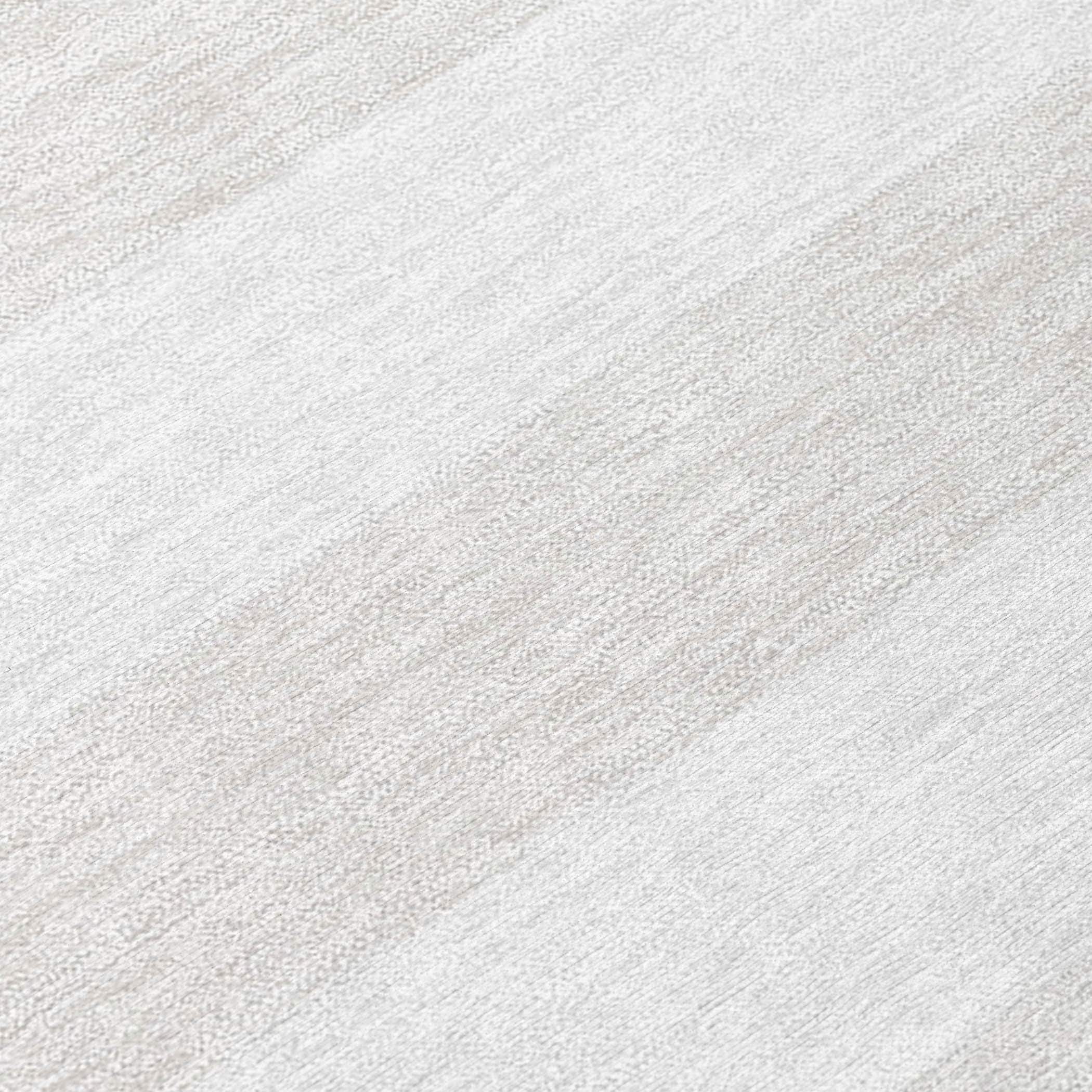 Addison Rugs ACN528IV30X46 rugs - View #3