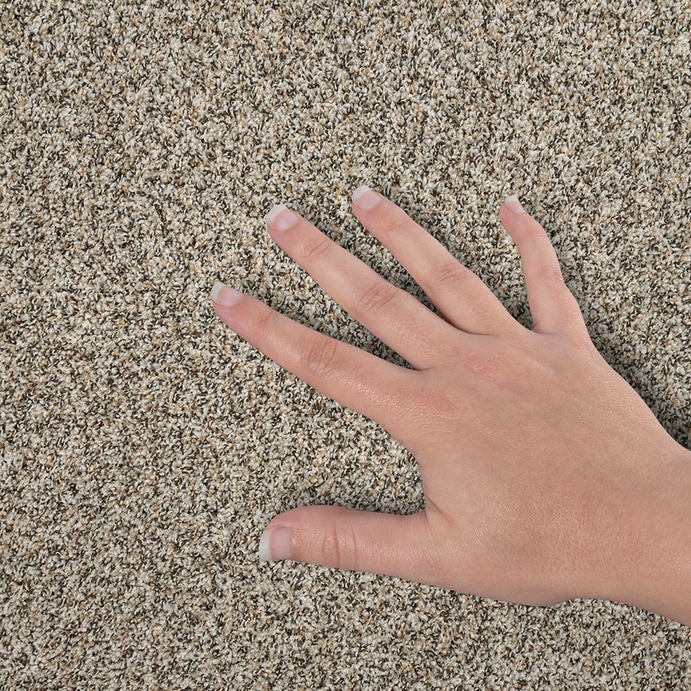 STAINMASTER SS041-L011-S0808 Carpet-Samples - View #4
