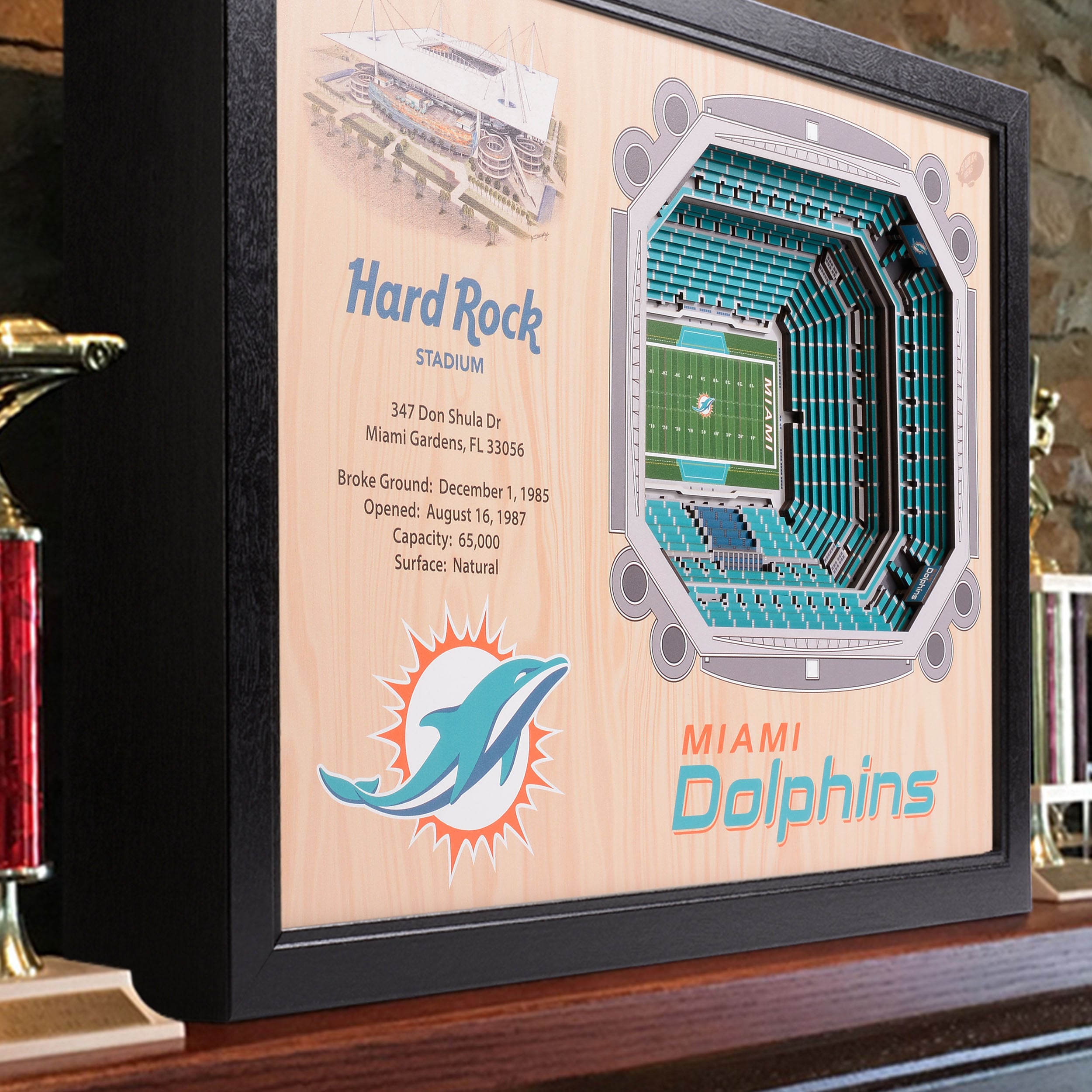 Miami Dolphins Hard Rock Stadium 8 x 10 Framed Football Photo