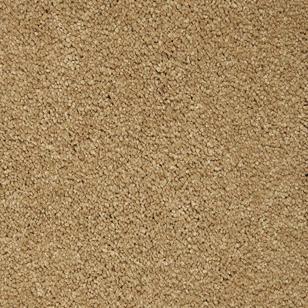 STAINMASTER PetProtect STP56-12-L024 Pawfection Siesta Sands Brown 70-oz sq yard Triexta Textured Indoor Carpet