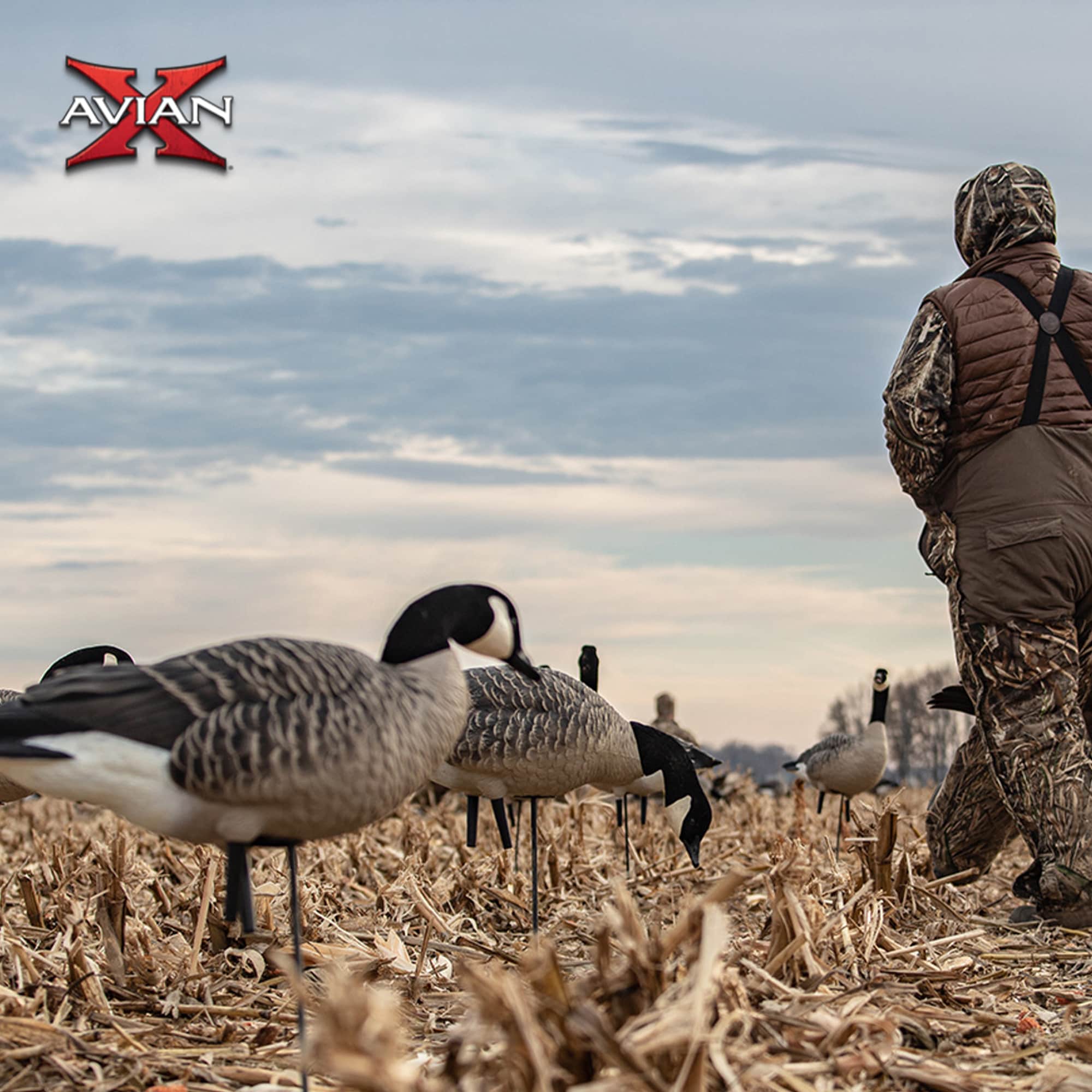  Avian X 408556 Hunting-Equipment - View #7