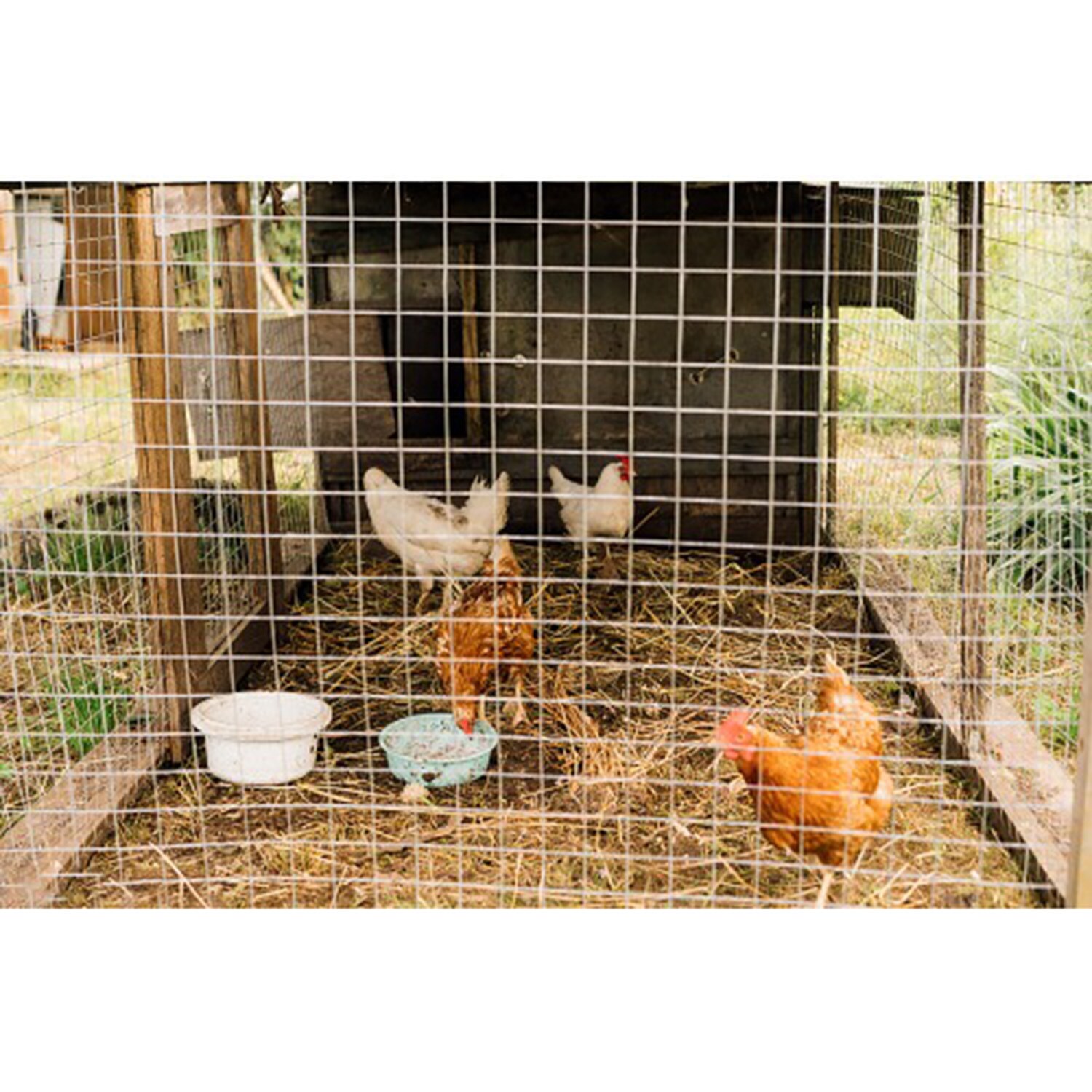 Mondawe MO-W2286P3753 Rolled-Fence - View #6