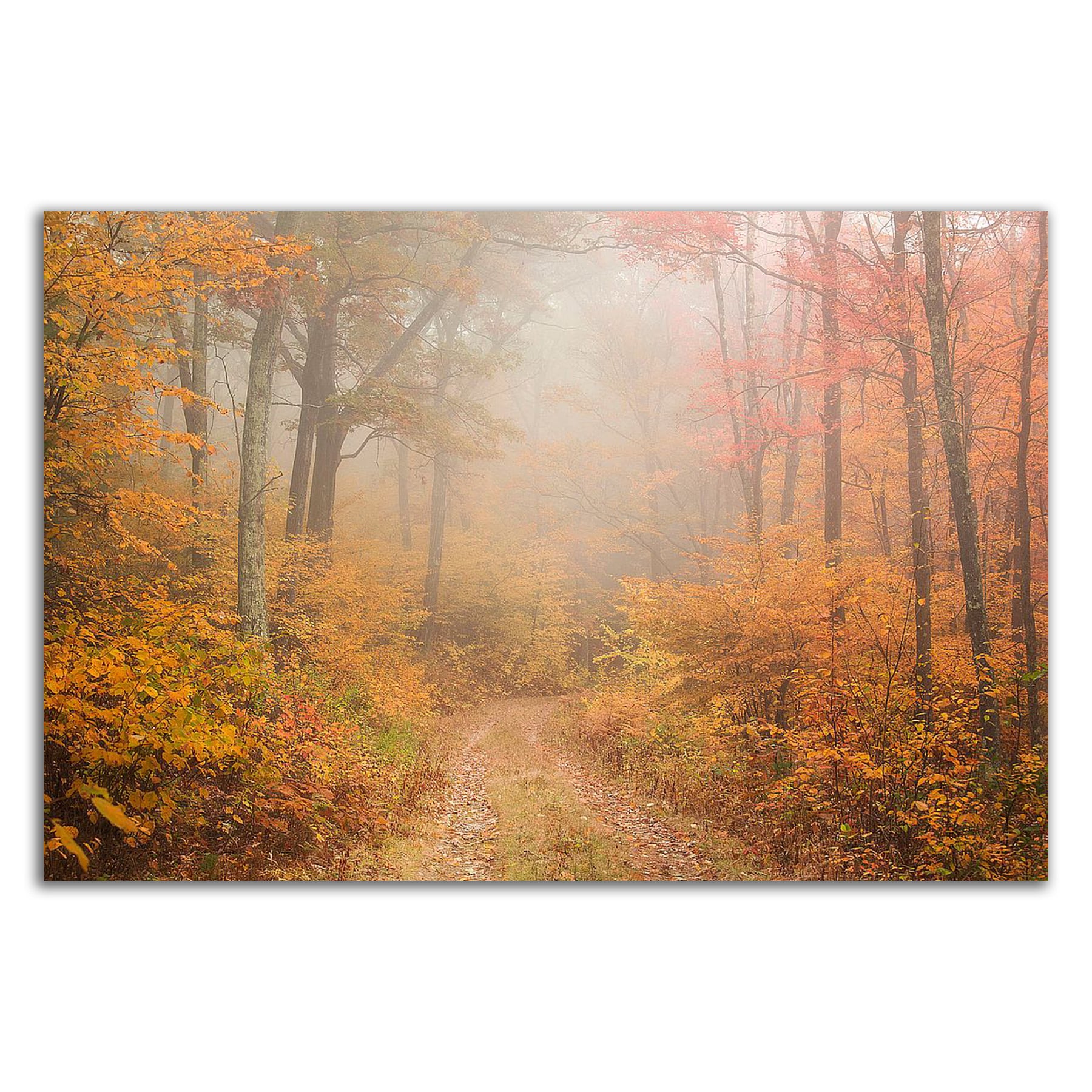 Tangletown Fine Art 18-in H x 27-in W Landscape Print on Canvas in the ...