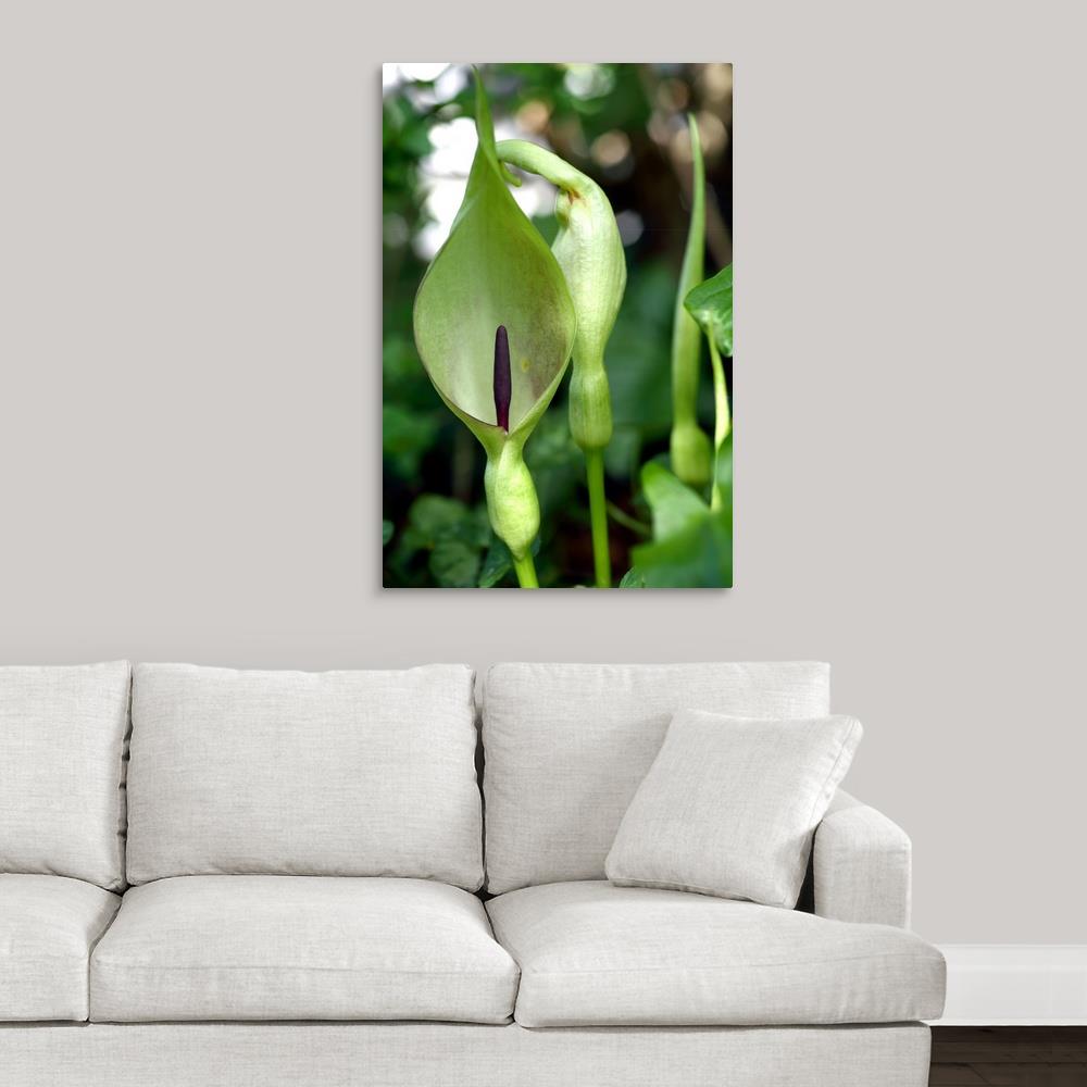 GreatBigCanvas 1135098-24-24X36 Wall-Art - View #2