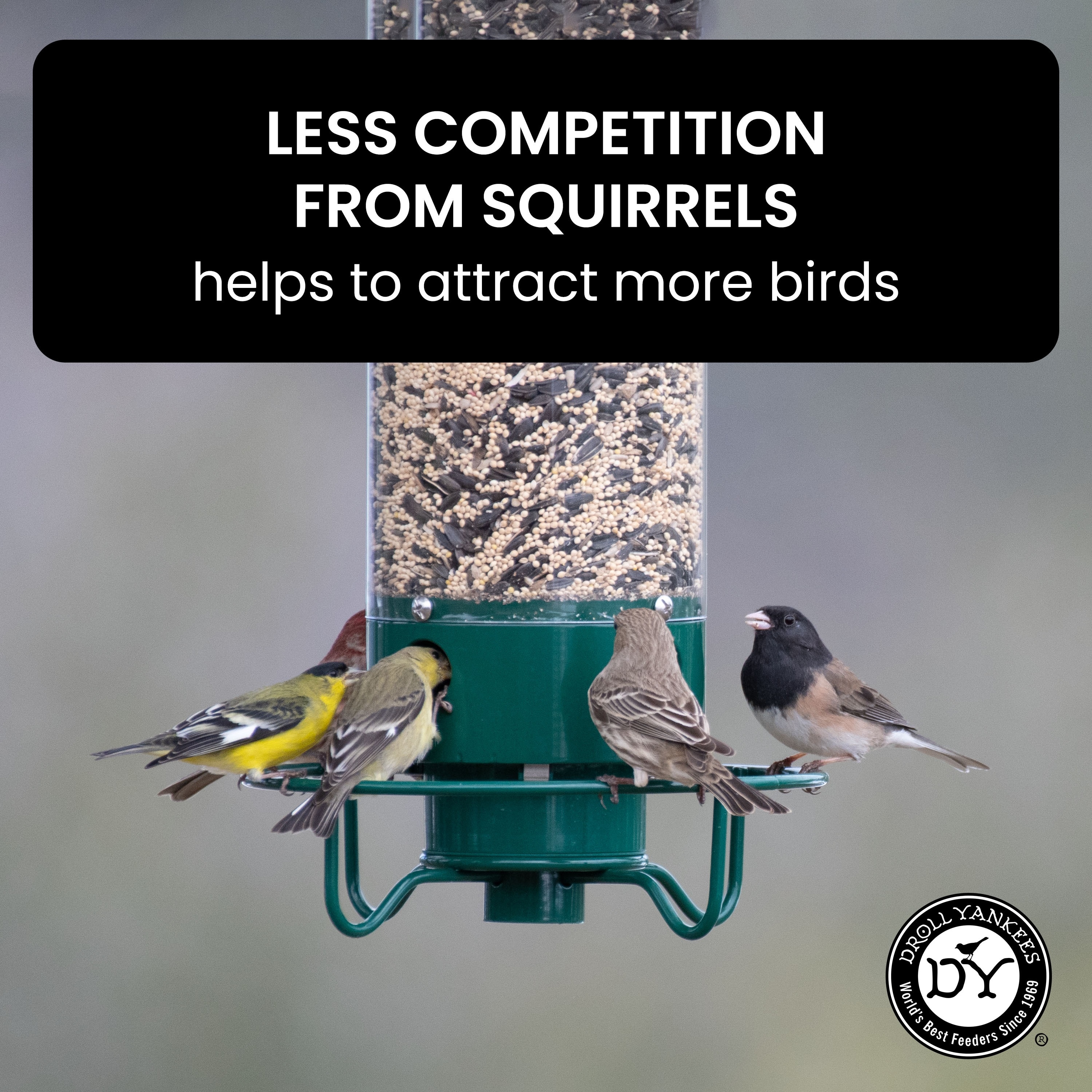 Droll Yankees YF-M Bird-Feeders - View #11