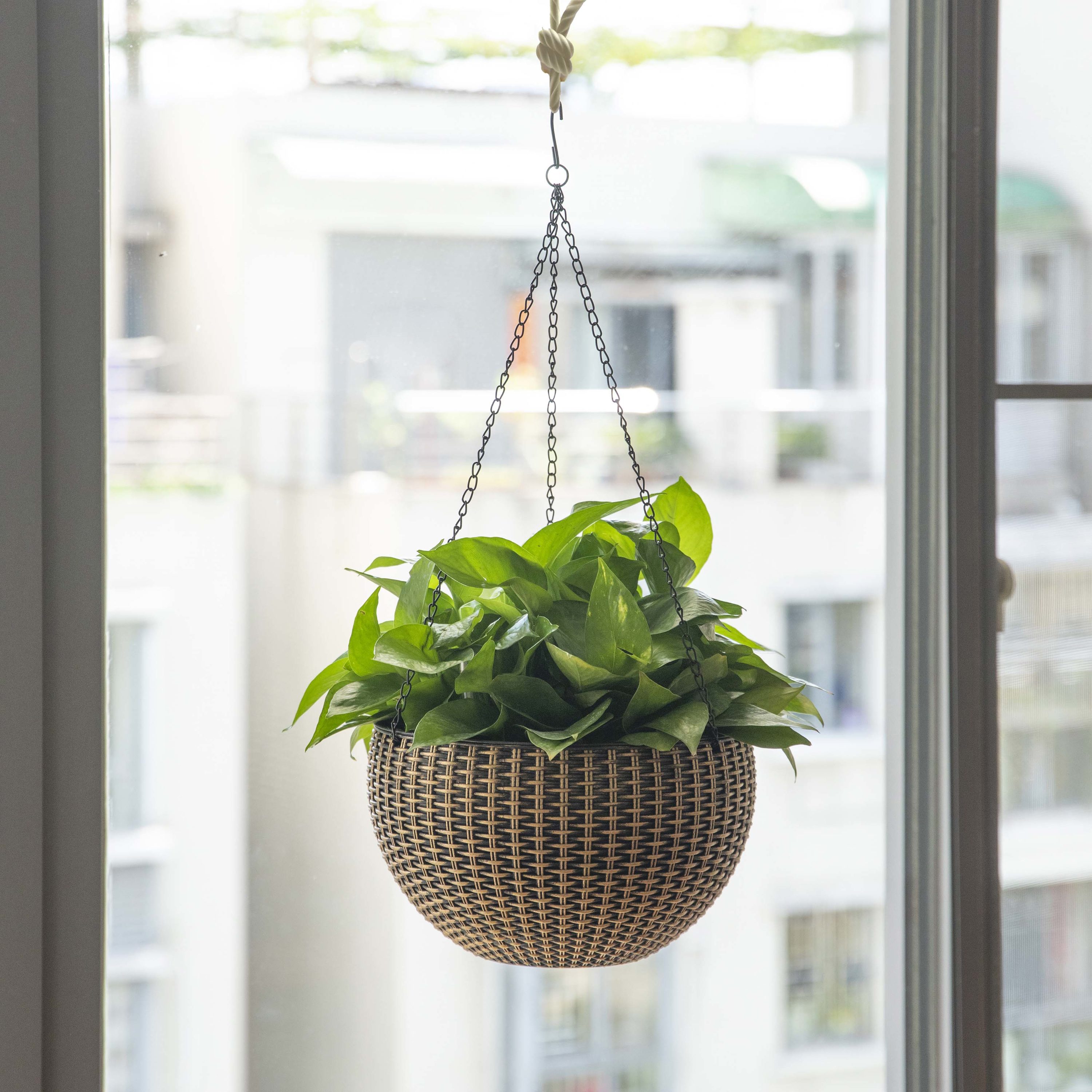 Gardenised QI003891 Planter-Window-Box - View #4