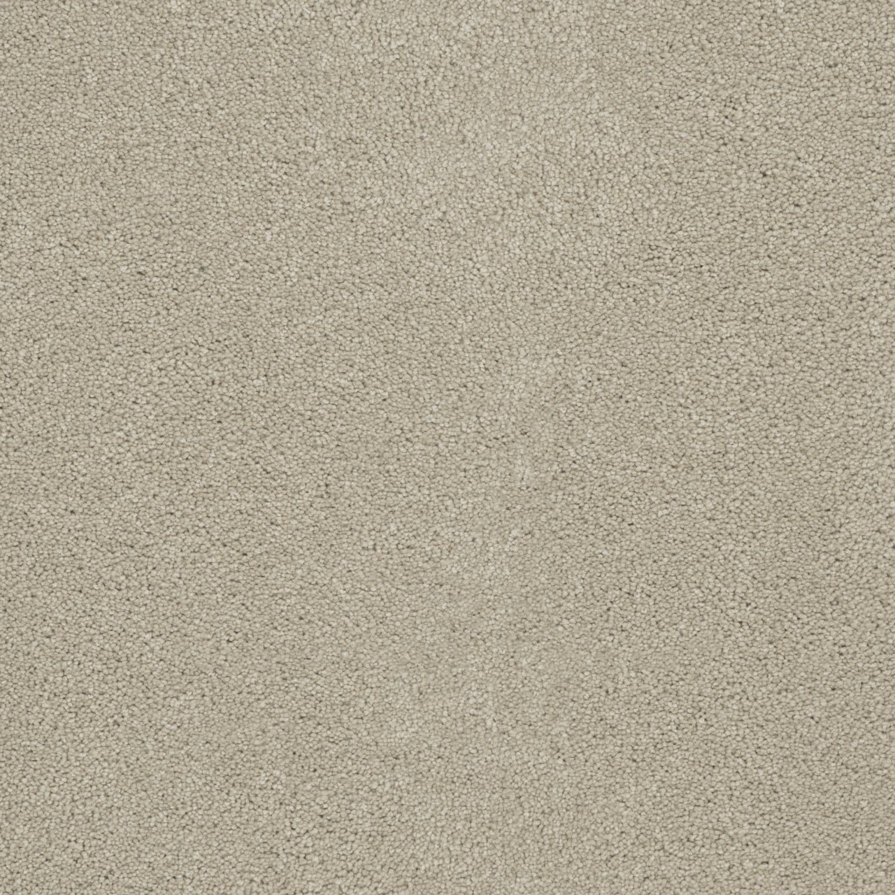 STAINMASTER L5013-1212-1200-AB Joyful Sound II Pop The Cork Yellow 55-oz sq yard Solution-dyed polyester Textured Indoor Carpet