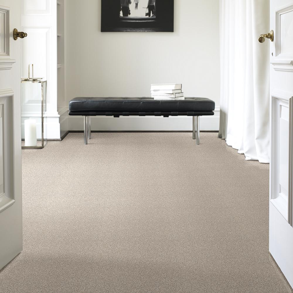 STAINMASTER B707400005 Carpet-Panel - View #2