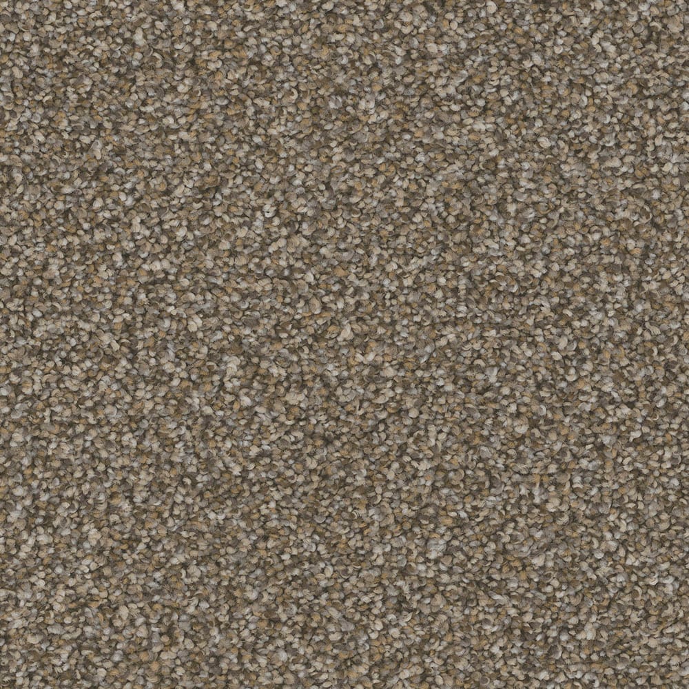 STAINMASTER PetProtect S9066-865-1200-MO Peachtree Central Station Brown 66-oz sq yard Nylon Textured Indoor Carpet