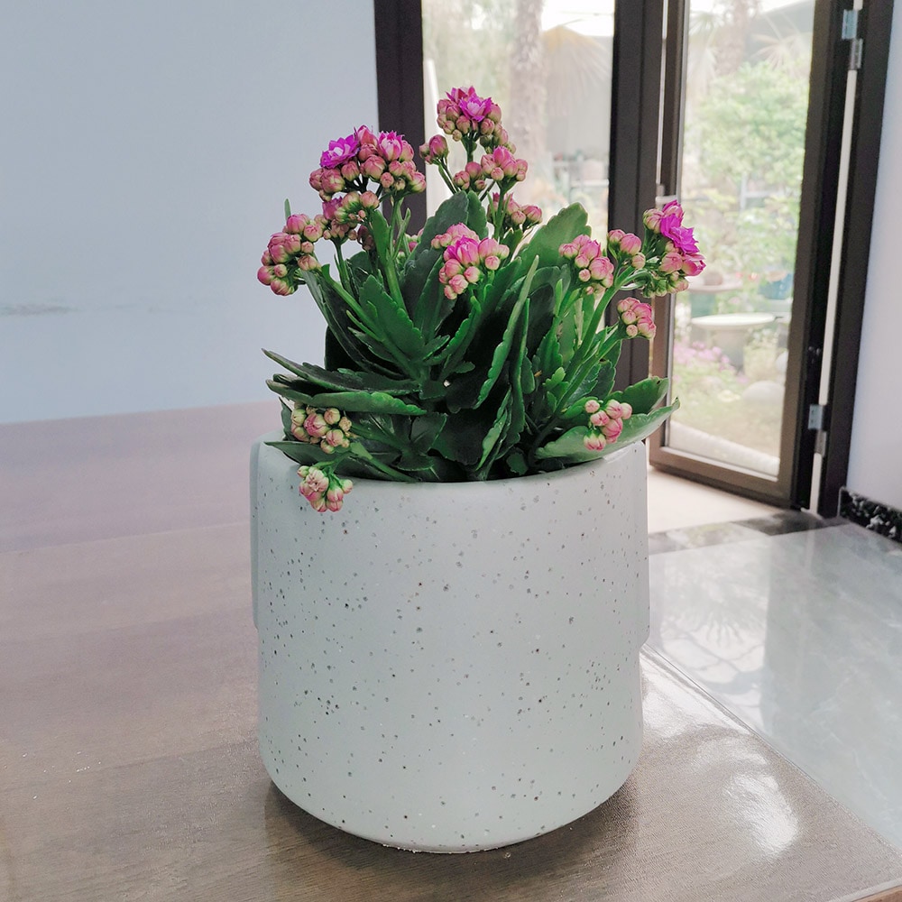 Origin 21 2326 ST2 Planter-Window-Box - View #11
