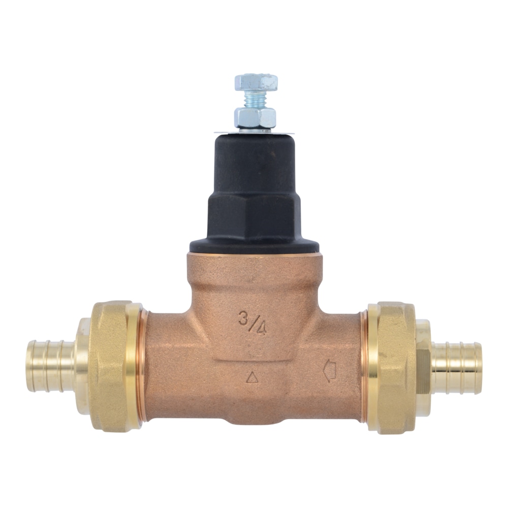 Cash Acme PVA16P-DUCR-60 Pressure-Relief-Valves-Regulators - View #3