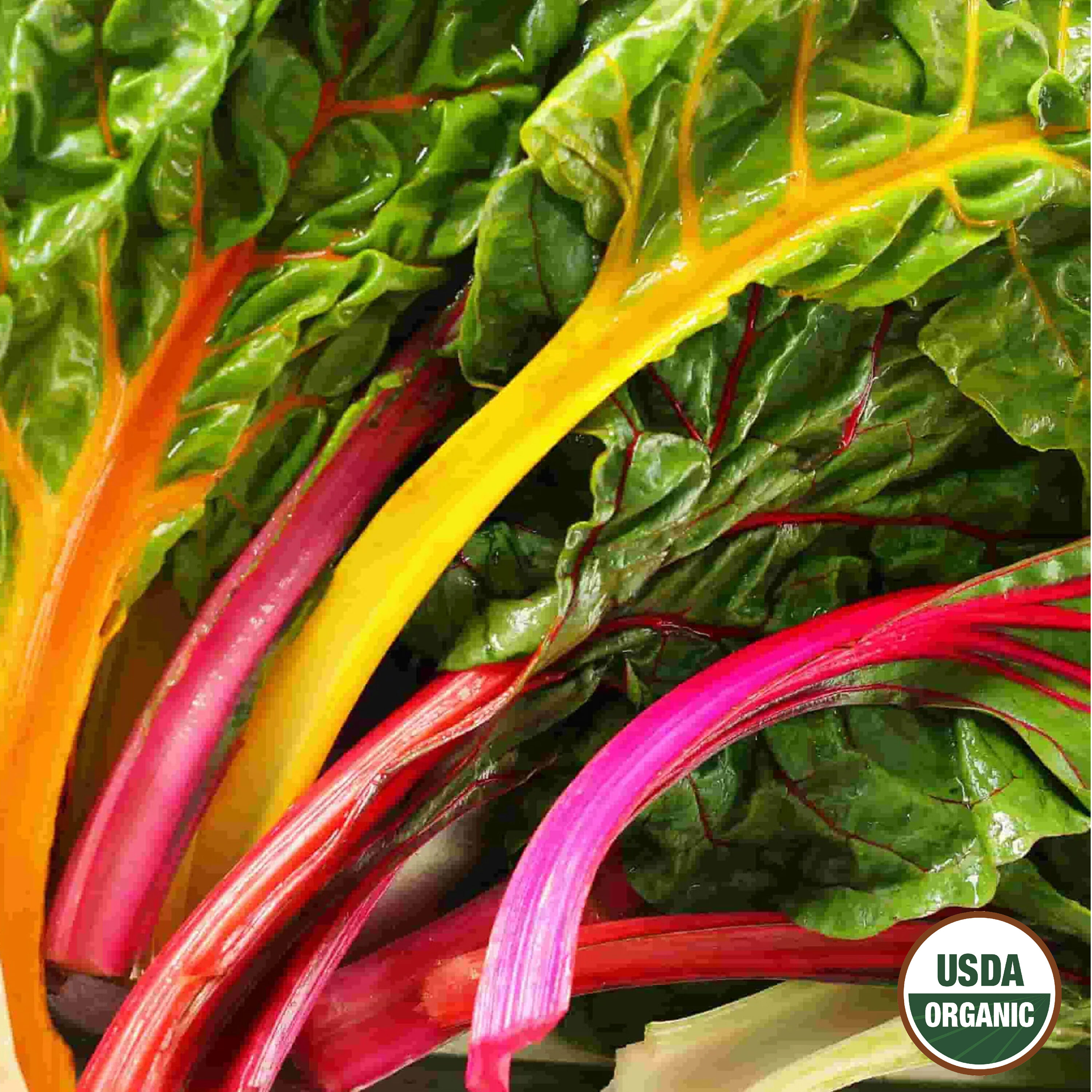 Ferry-Morse LC25.0800 Vegetable-Herb-Seeds - View #3