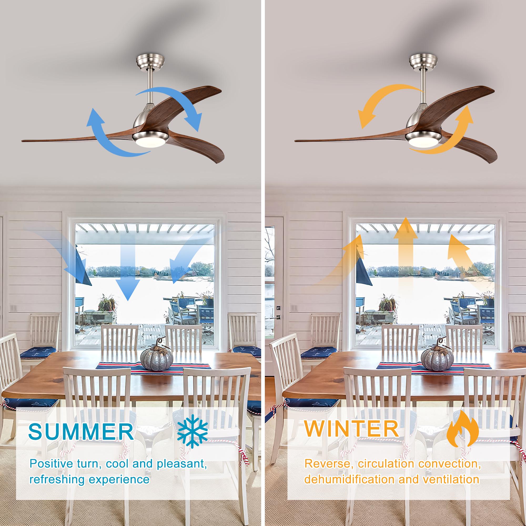 Bayfeve BFHM-76970-CF Ceiling-Fans - View #8