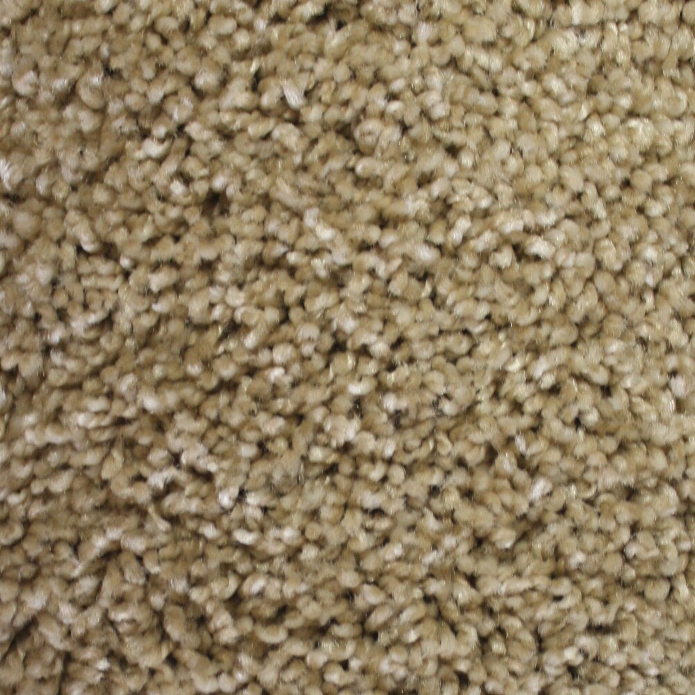 STAINMASTER R1340-101-1200-AB Essentials Notorious Desperado Textured Indoor Carpet