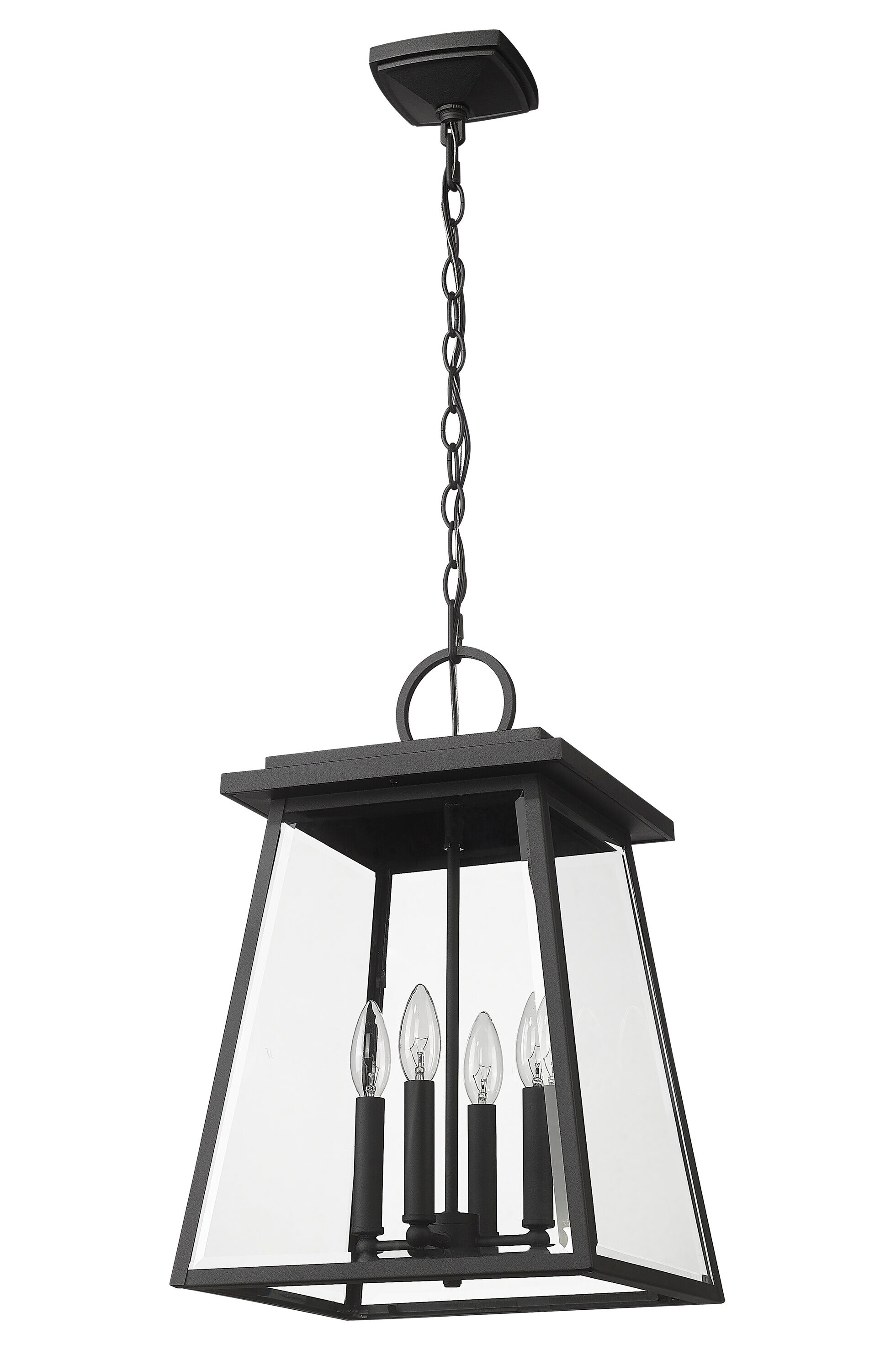 Z-Lite 521CHB-BK Pendant-Lights - View #4