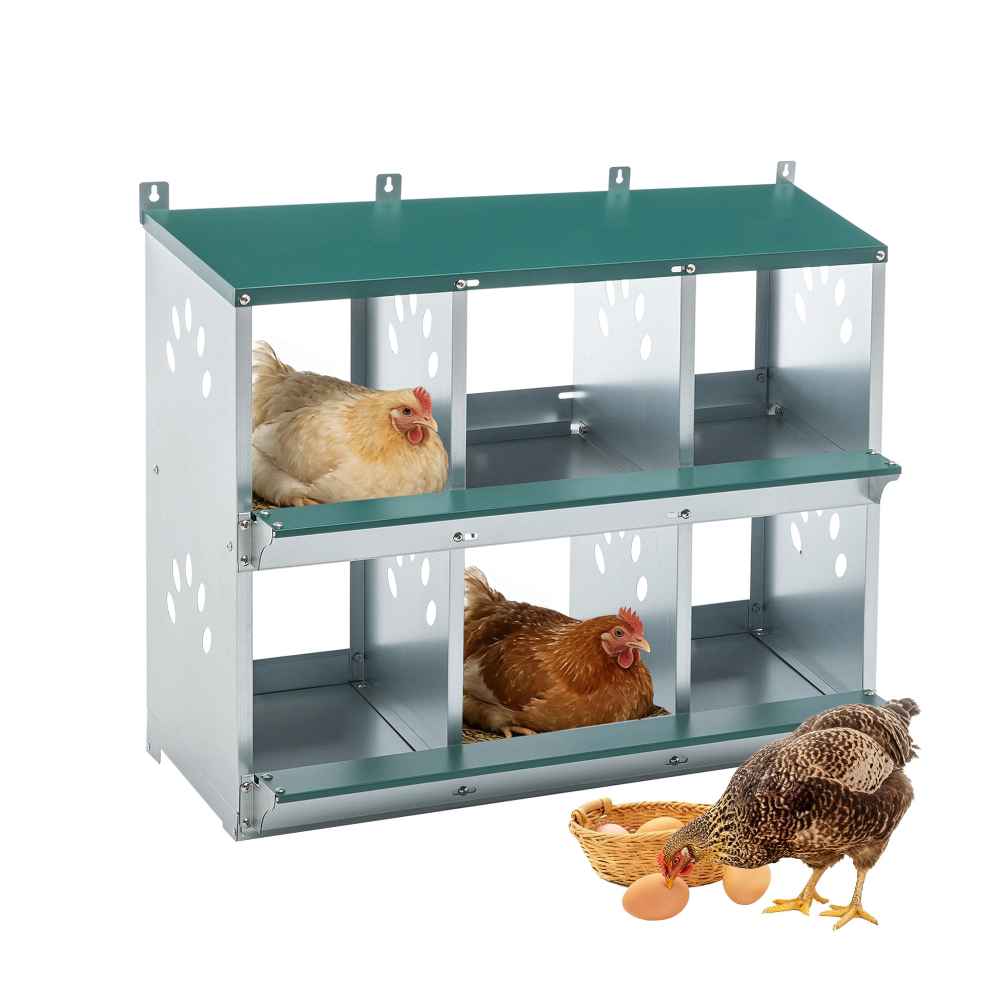 Kahomvis Green Metal Nest box training