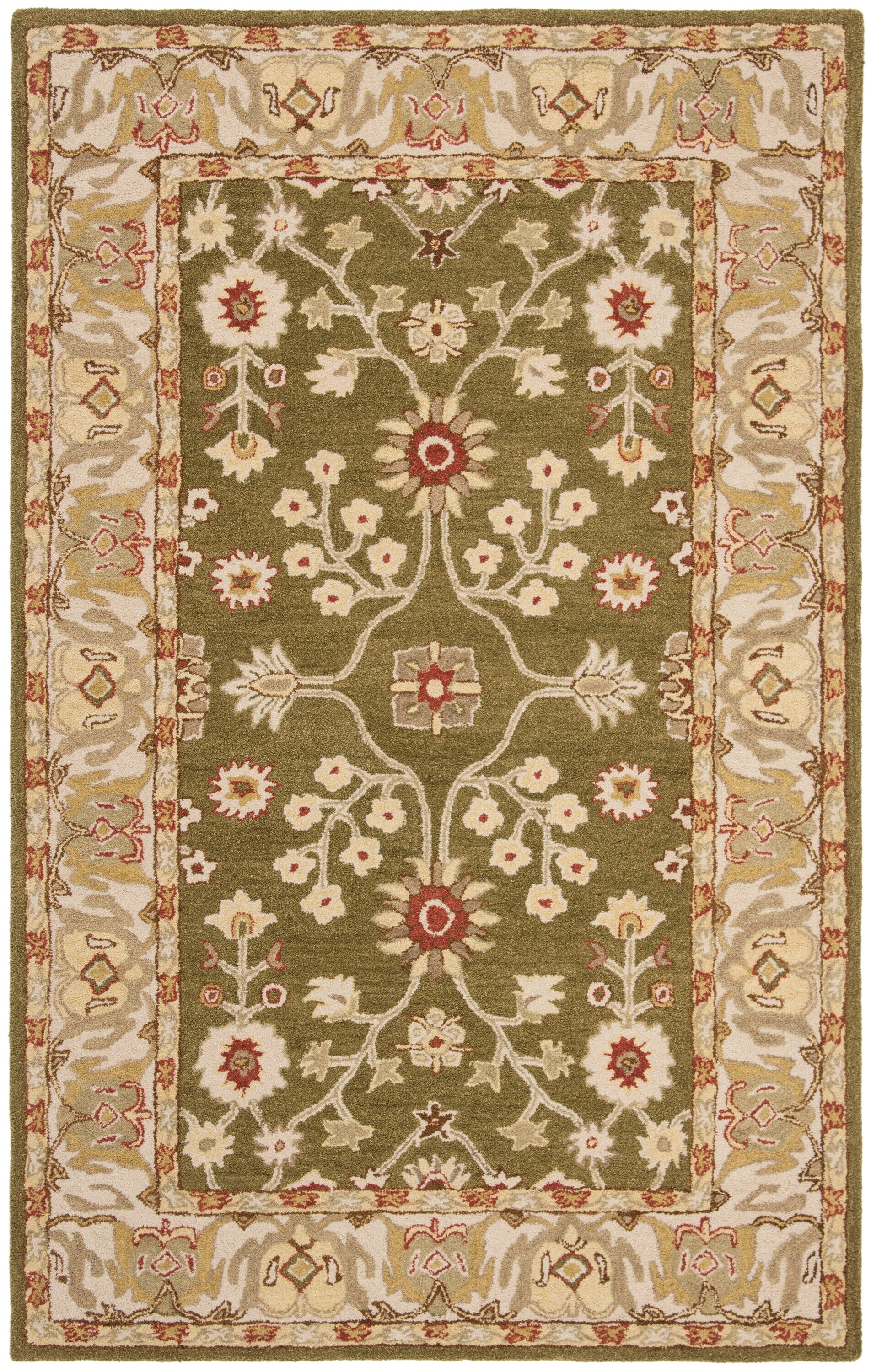 Safavieh AN562D-4 rugs - View #2