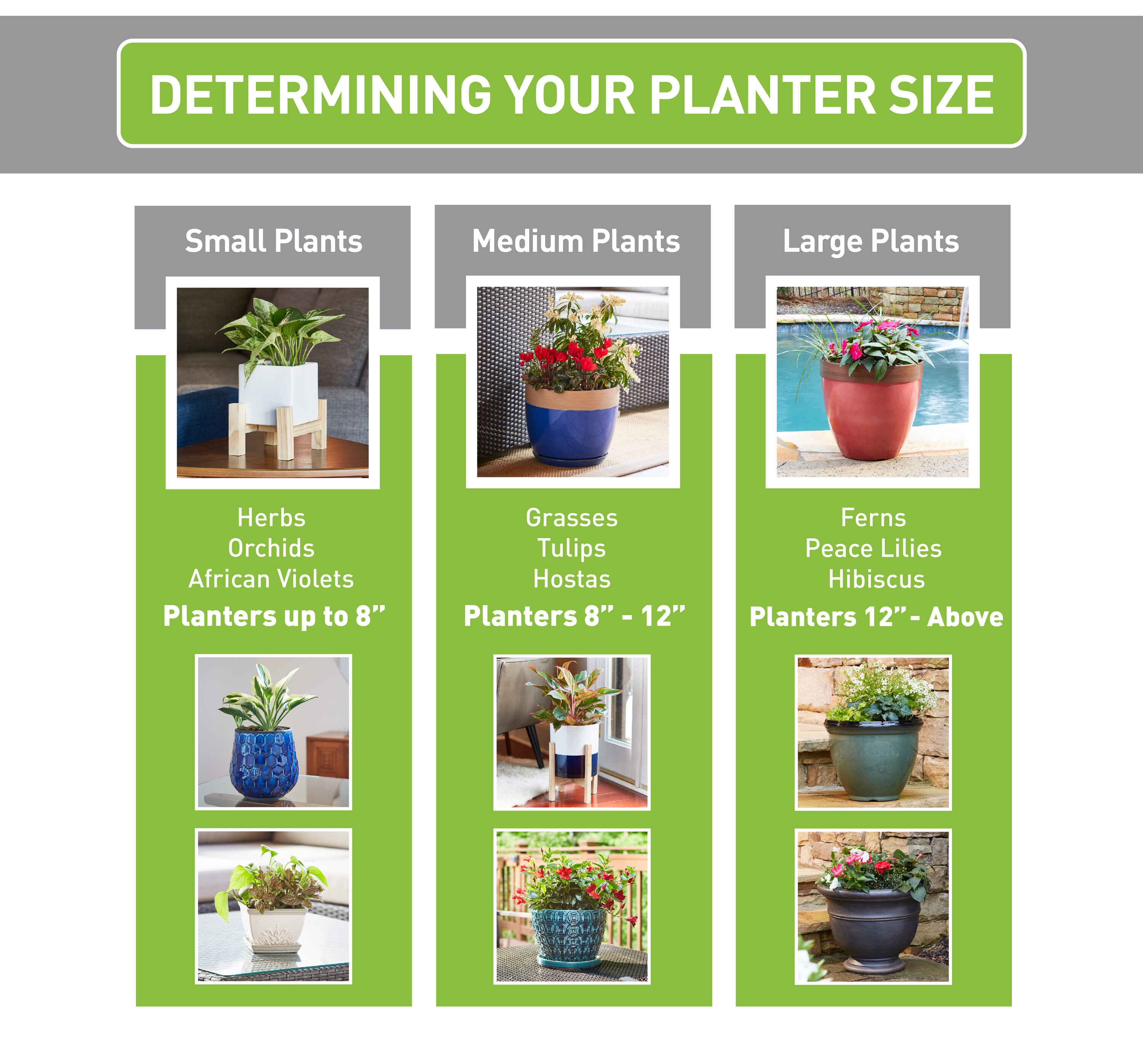 How to choose the right pot for your plant [Why pot shape & size matters. A  lot.] — Greenhouse Studio
