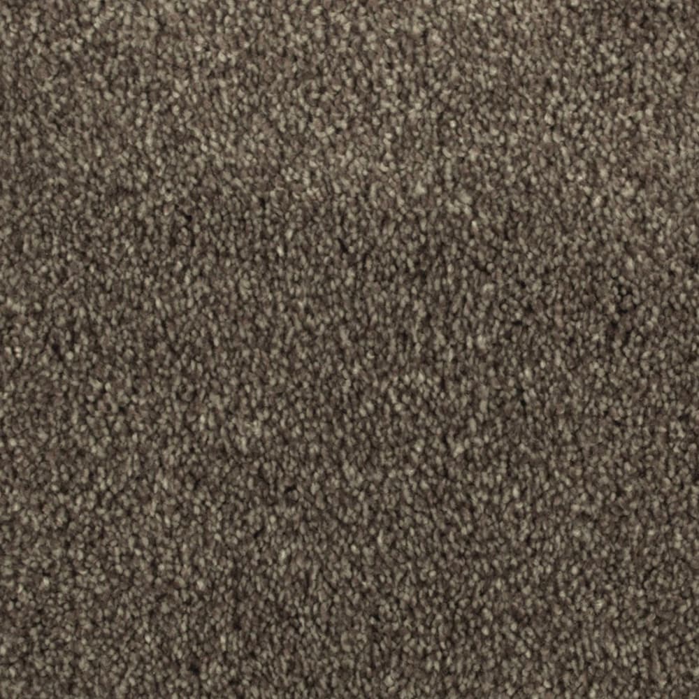STAINMASTER LW185-L009-0808 (Sample) Durable Touch I Fiddlewood Brown 44.1-oz sq yard Polyester Textured Indoor Carpet