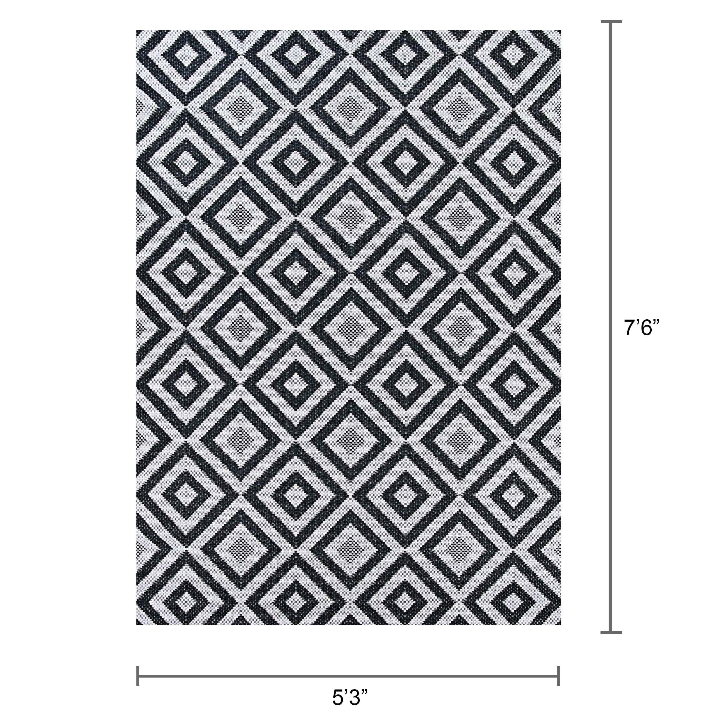 Afuera Modern Black 5' x 7' Flat Woven Synthetic Area Rug