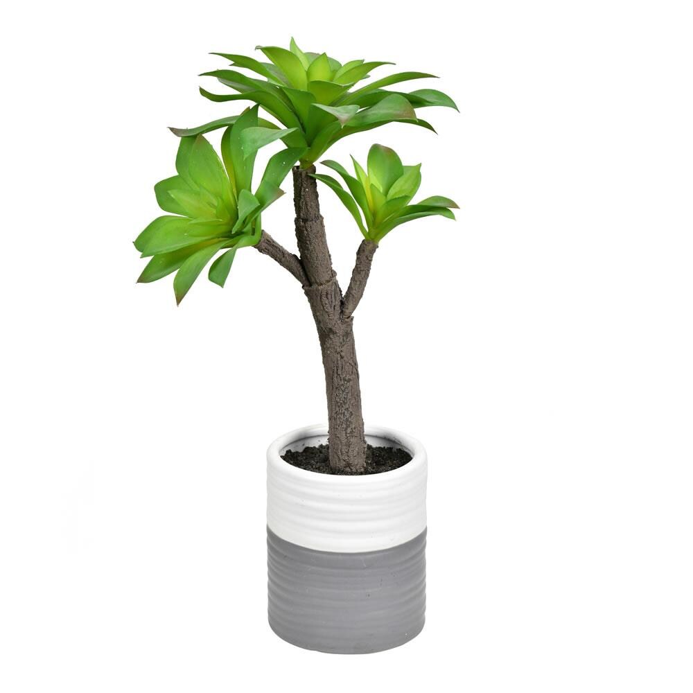 Vickerman FH191415 15-in Green Indoor Succulent Artificial Plant