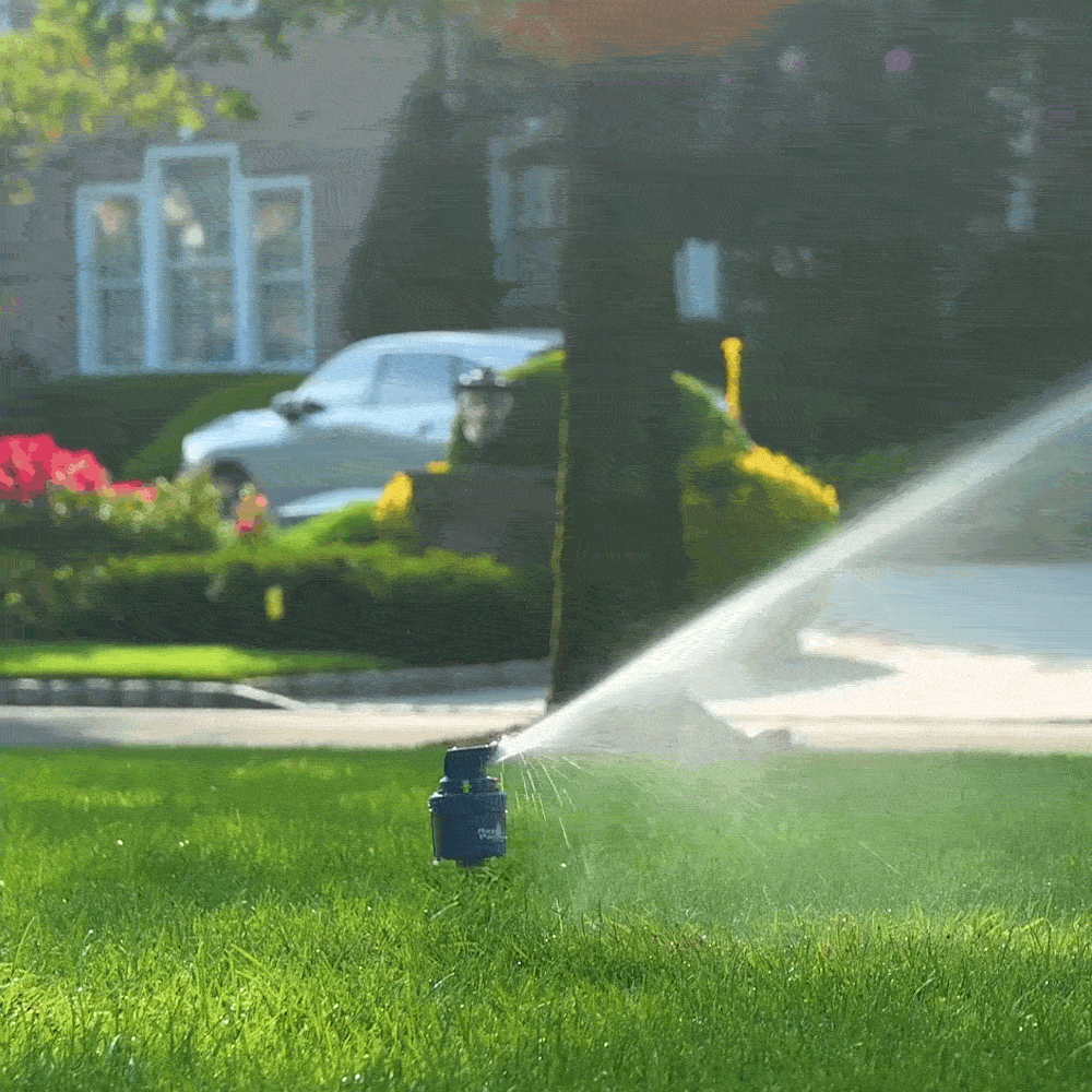 Ray Padula EC-SPSS sprinklers - View #2