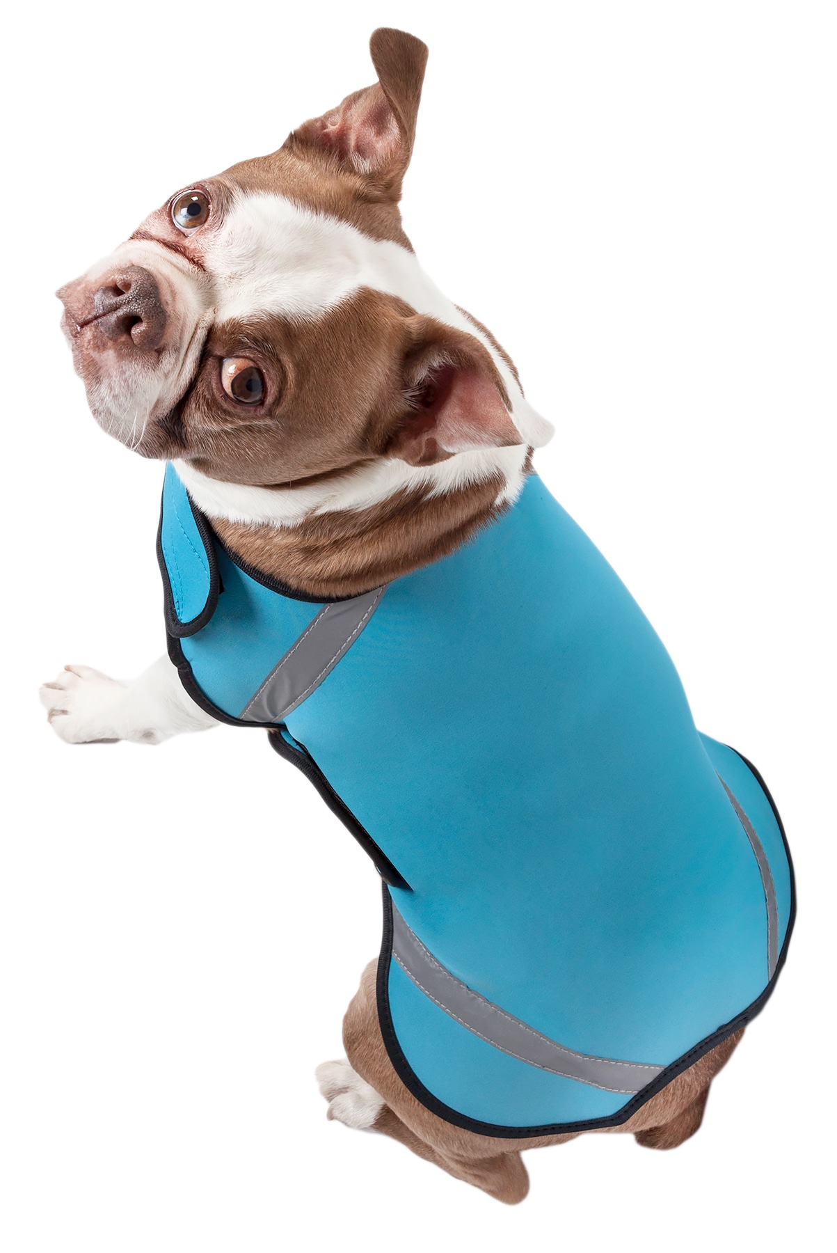 Pet Life Lightweight Adjustable 'Sporty Avalanche' Pet Coat - Blue