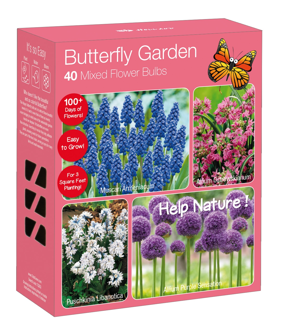 National Plant Network LW7539 Multicolor Mixed Bulb Pack Bulbs 40 -Pack