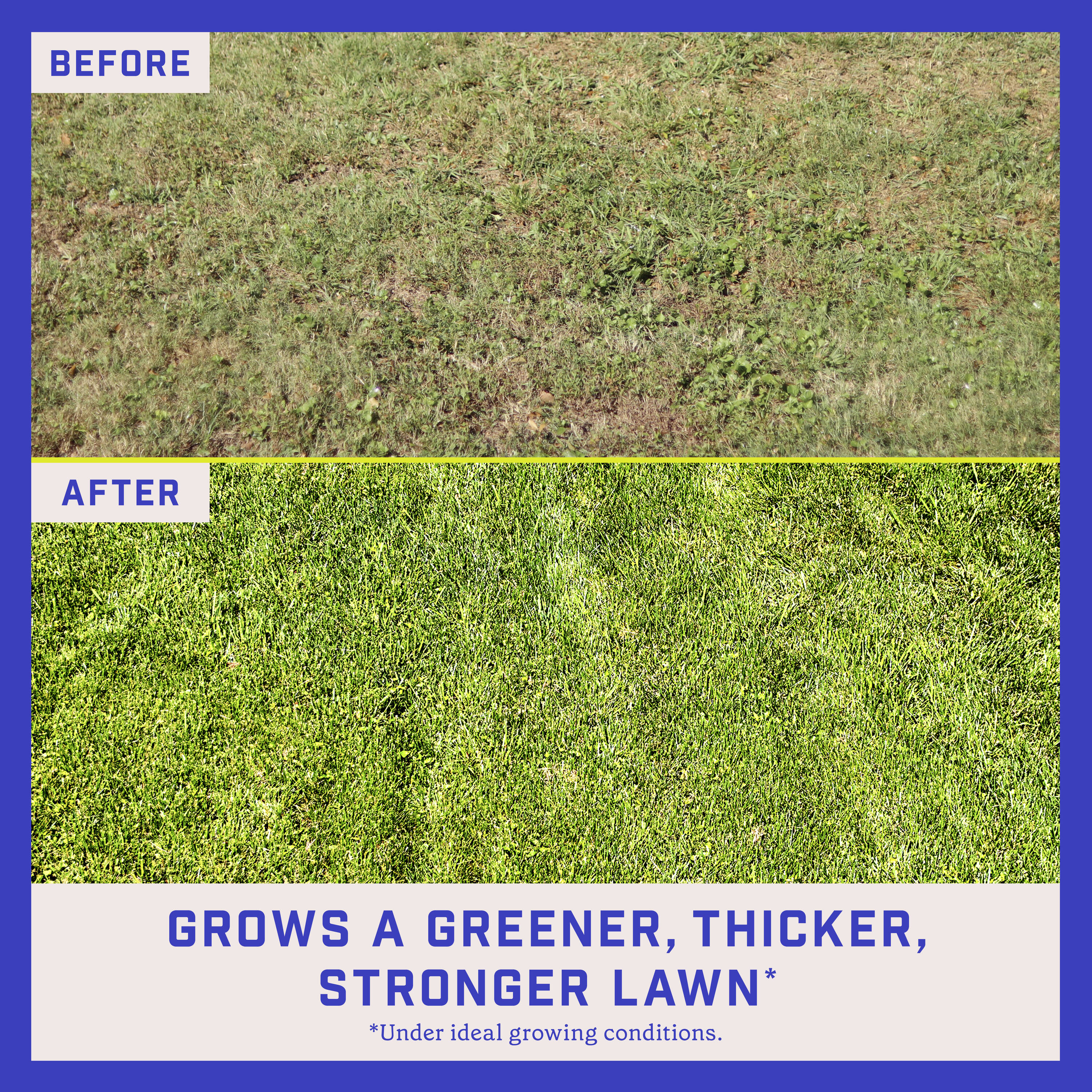 Pennington Lawn Booster 9.6-lb Sun and Shade Lawn Repair Mix in the ...