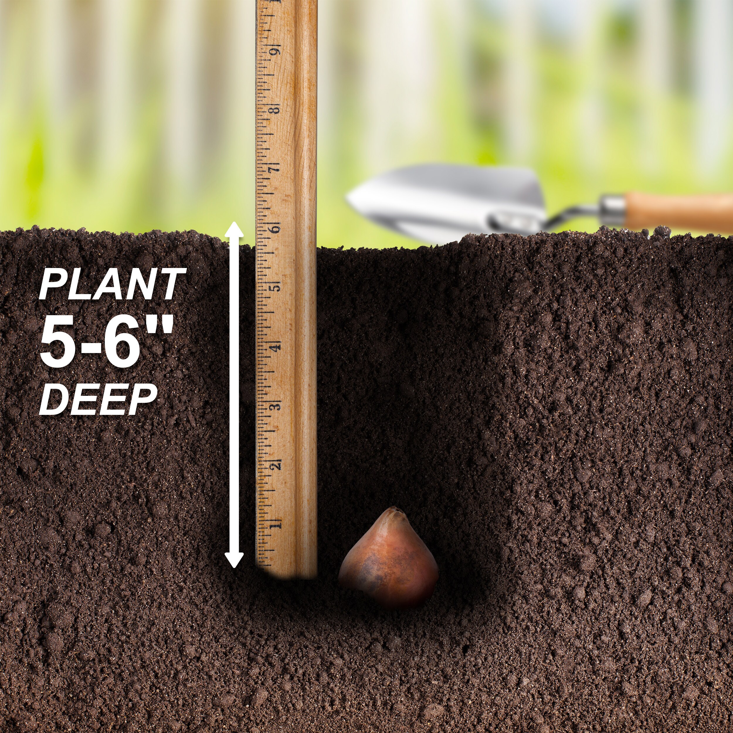 Miracle-Gro ECF-17-25 Plant-Bulbs - View #5