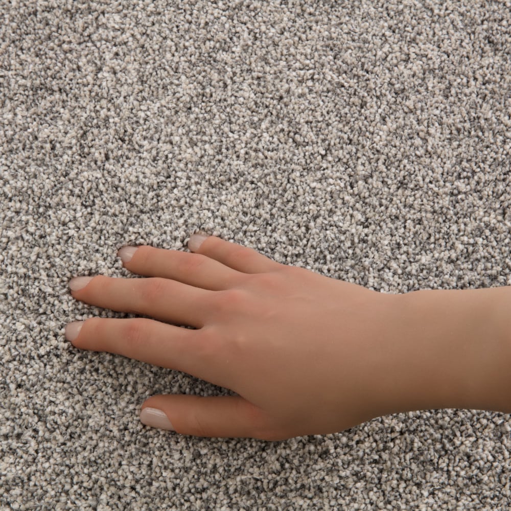STAINMASTER PetProtect 7L940-563-SAMP Carpet-Samples - View #4