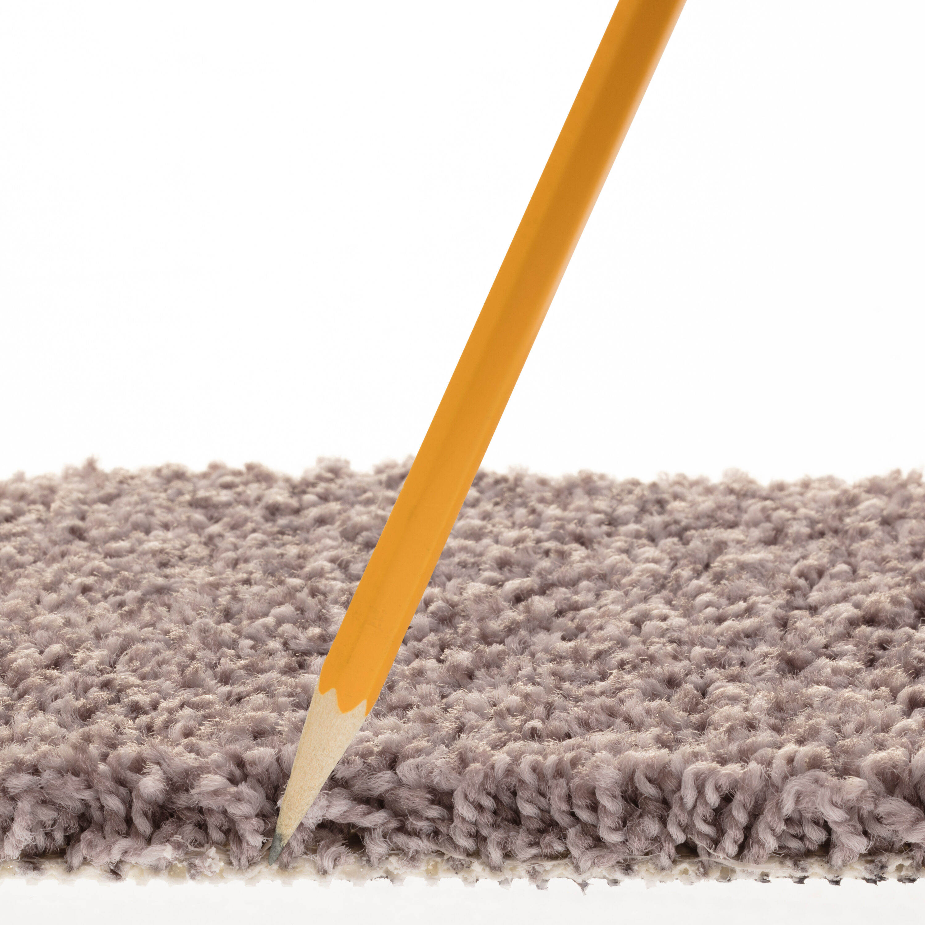 STAINMASTER 7L908 - 902 - SAMP Carpet-Samples - View #7