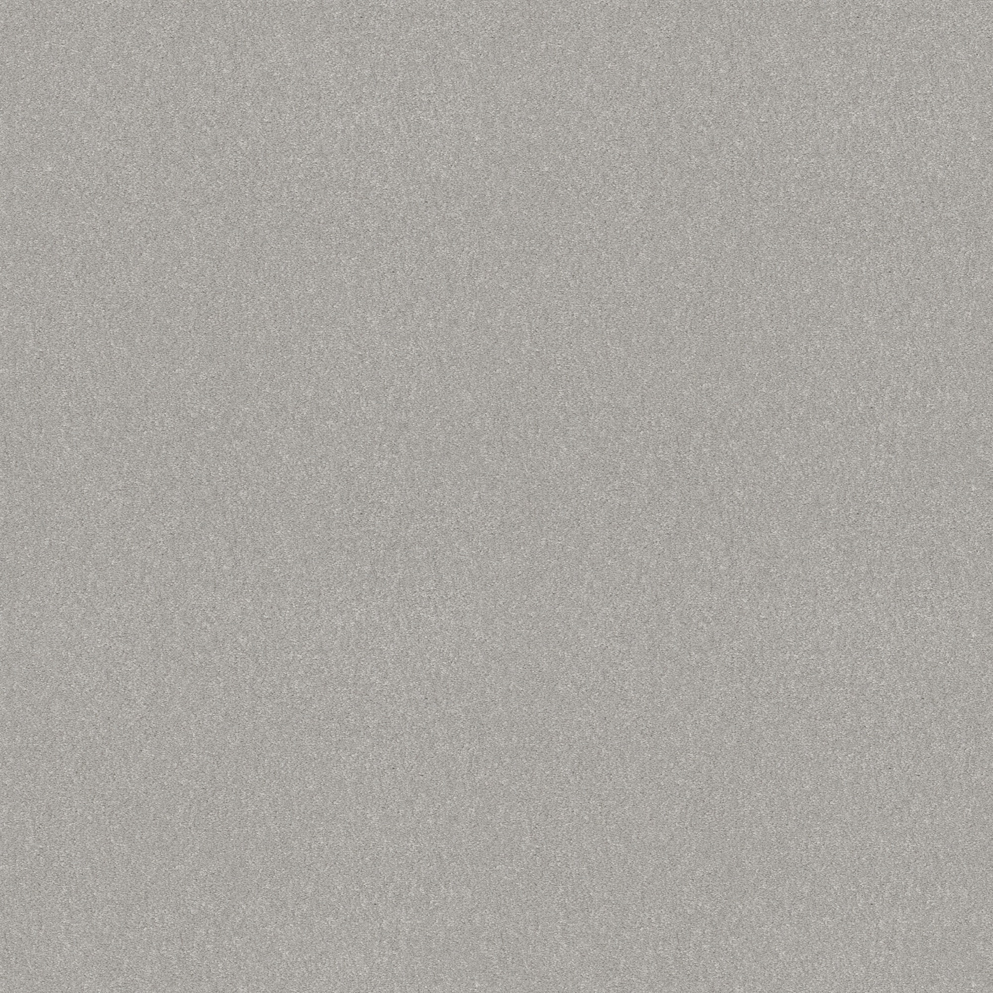 STAINMASTER PetProtect 7L893 - 550 - SAMP (Sample) Sweet Spot II Breakwater Gray 58.5-oz sq yard Nylon Textured Indoor Carpet