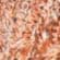 Light Brown, Tangerine and Grey