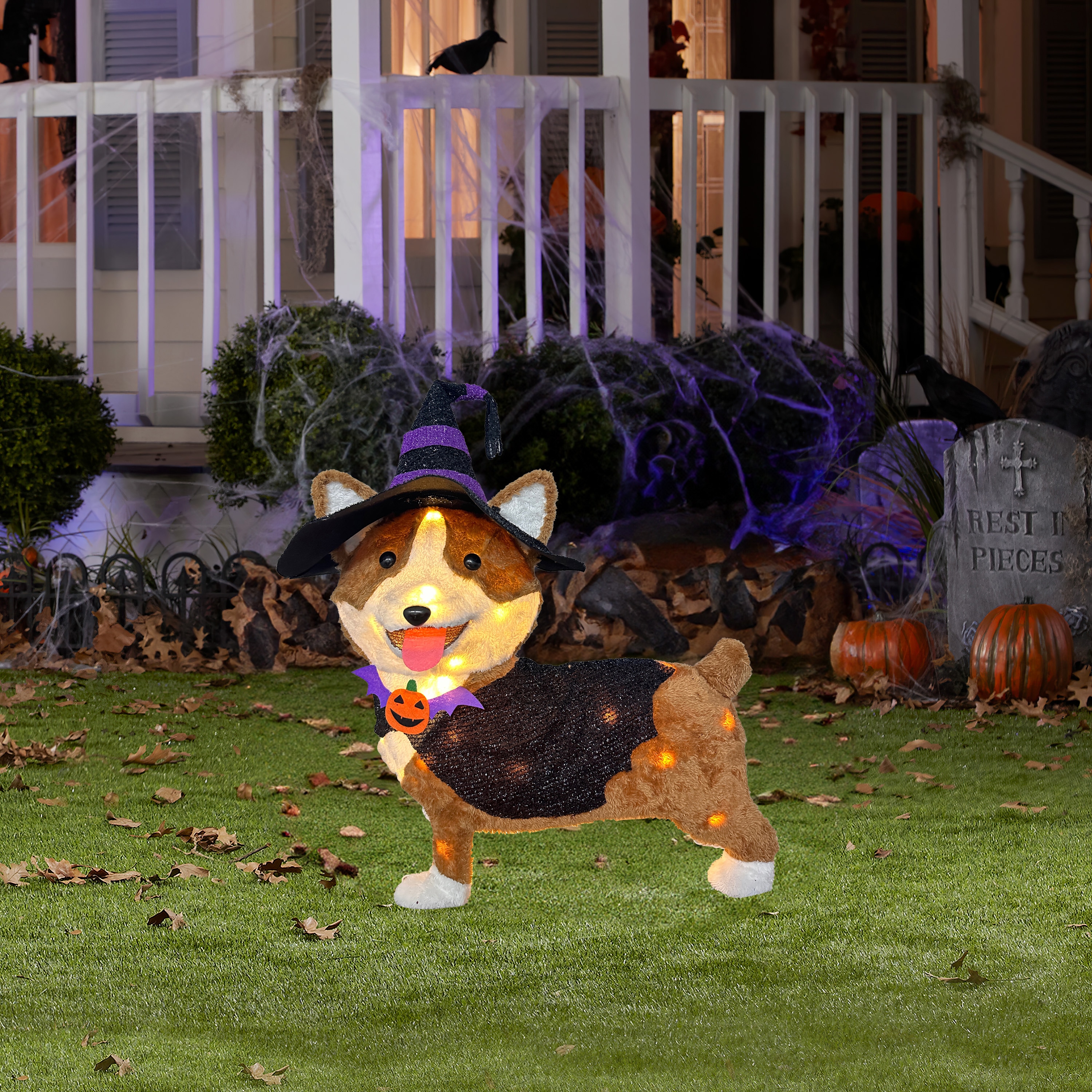 Corgi Halloween Decorations: How to Create a Spooky Yet Adorable Atmosphere