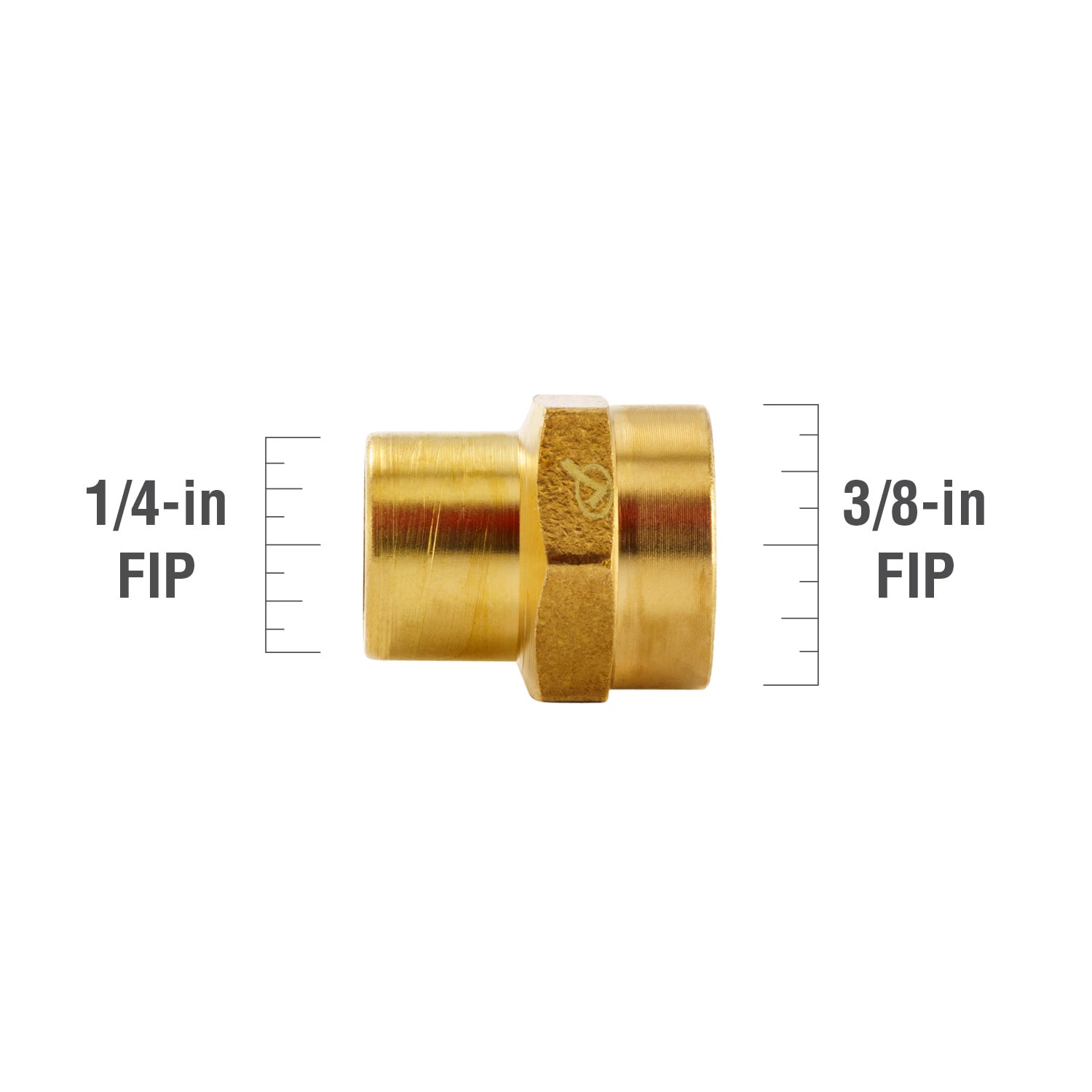 Proline Series 3/4-in x 1/4-in Threaded Adapter Fitting in the