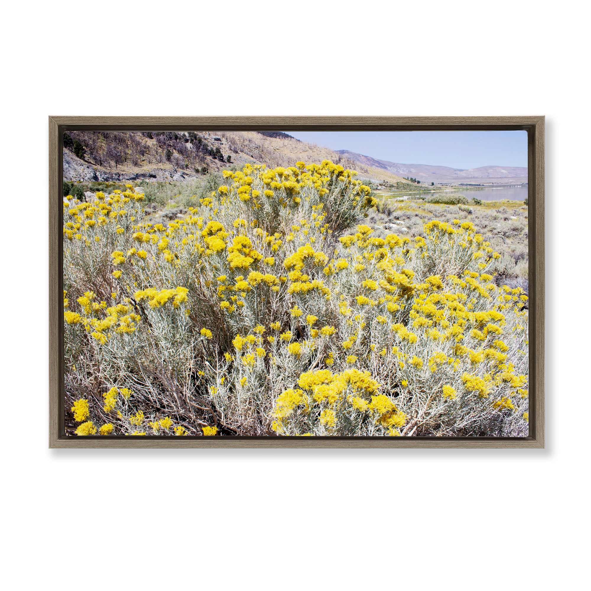 Stupell Industries BU-139-FFE-16X24 Yellow Flowers in Arid Meadow Framed Floater Canvas Wall Art 25 x 17