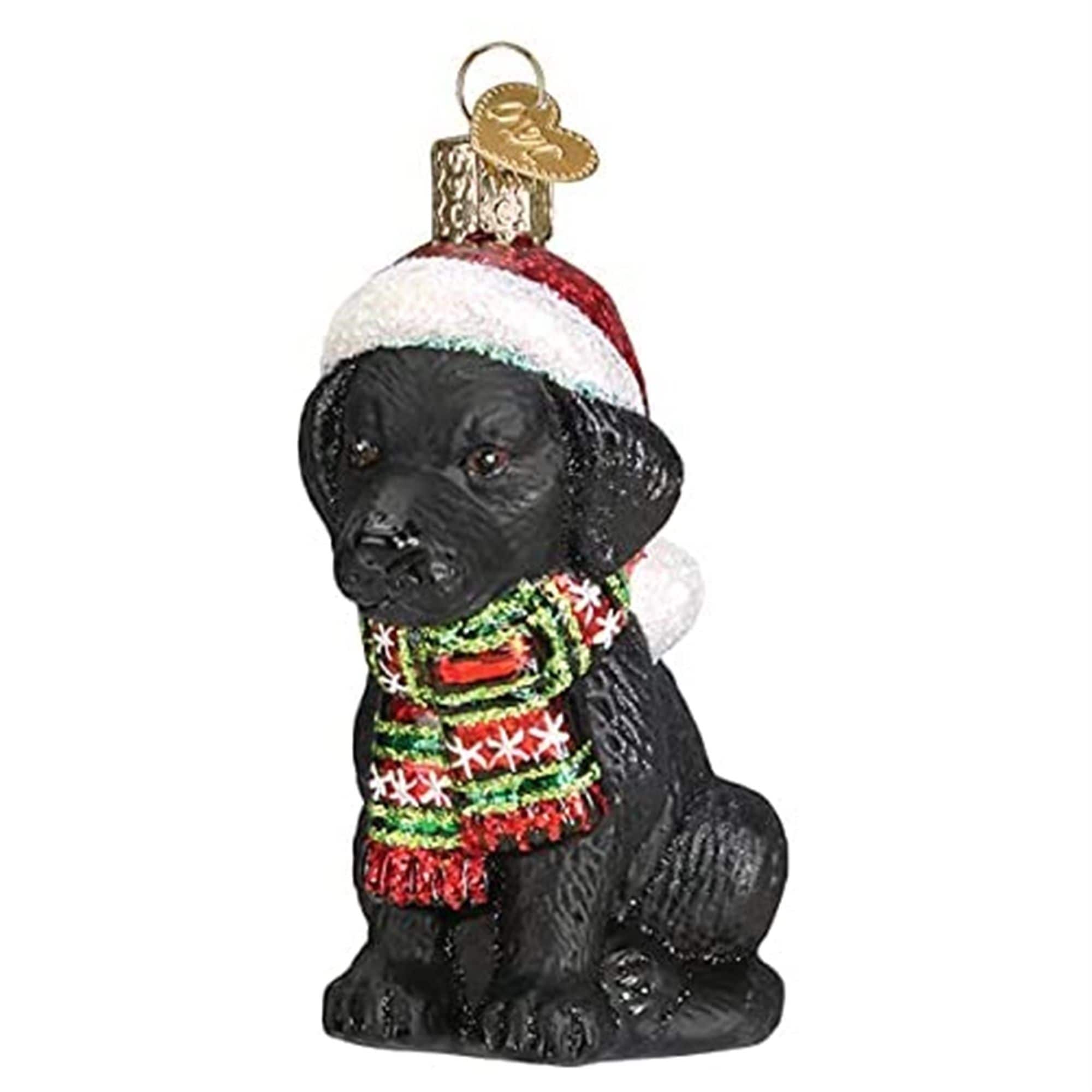 Old World Christmas 729343126382 Glass Blown Ornament for Christmas Tree - Holiday Black Lab Puppy
