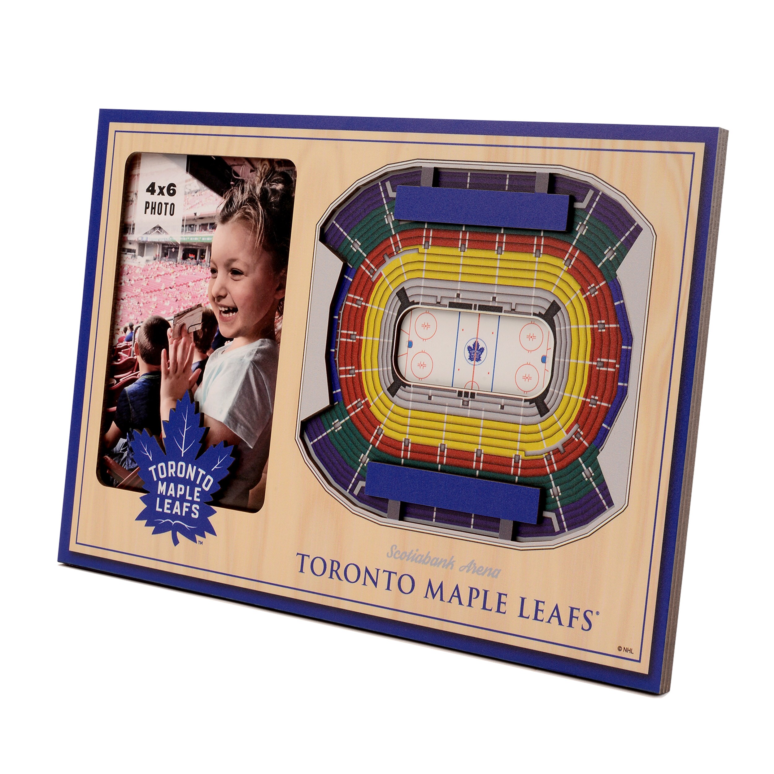 StadiumViews 9026273 Team Colors Wood Picture Frame (8-in x 12-in)