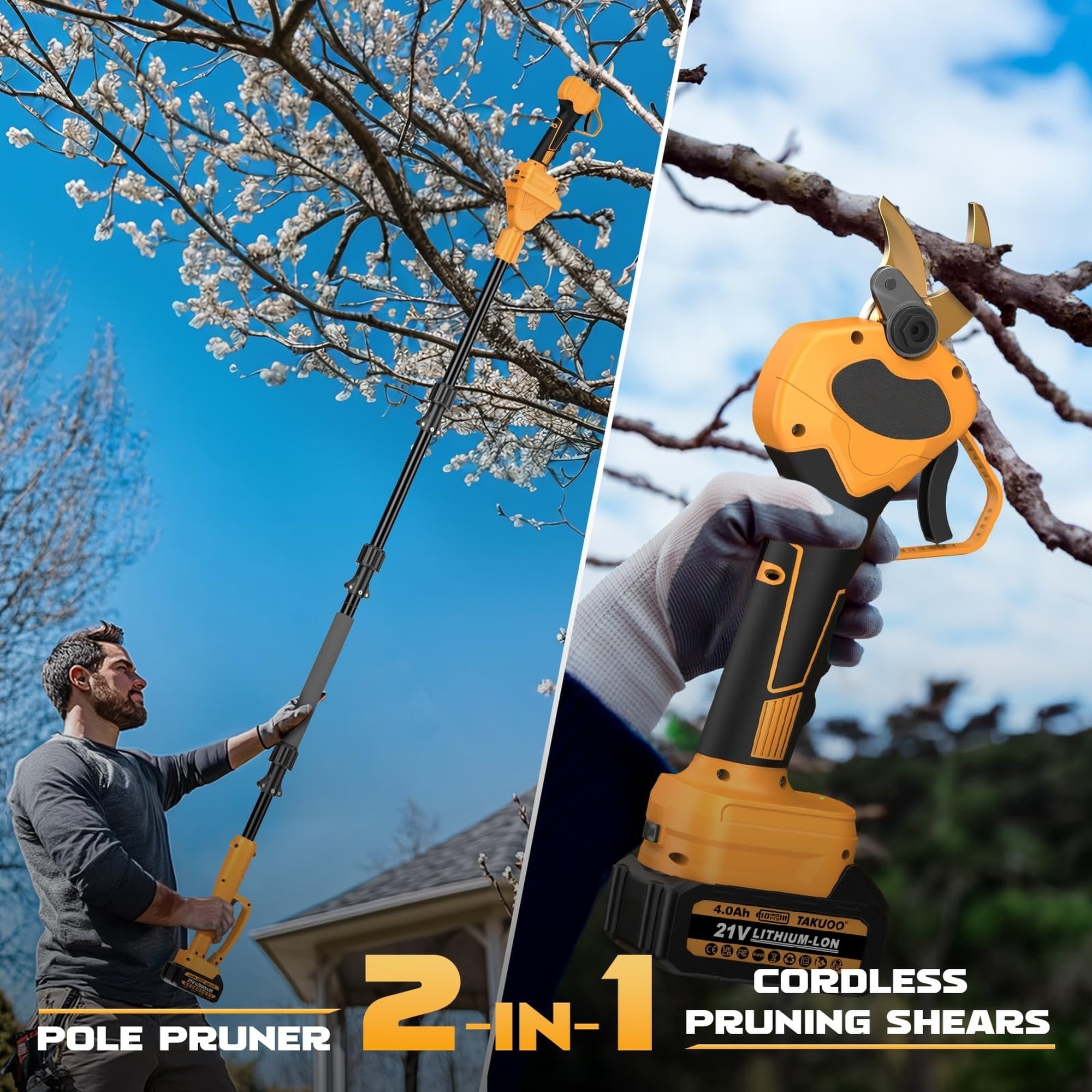 Numhew NHBEN385098 Pole-Pruning - View #3